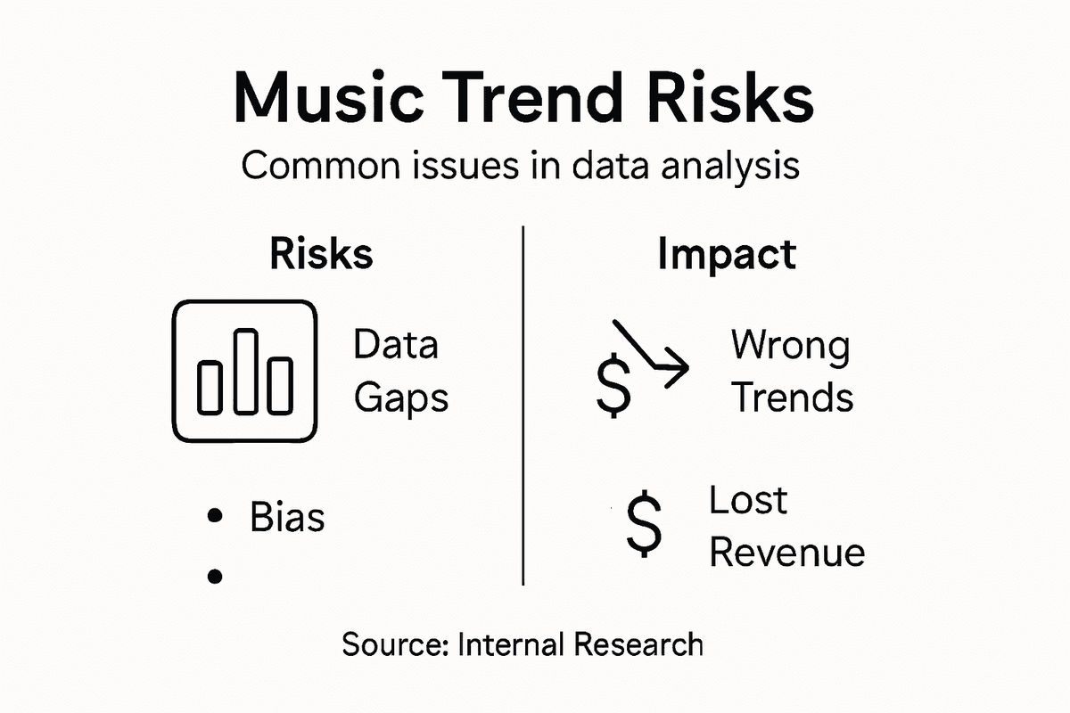 Infographic summarizing risks in data analysis