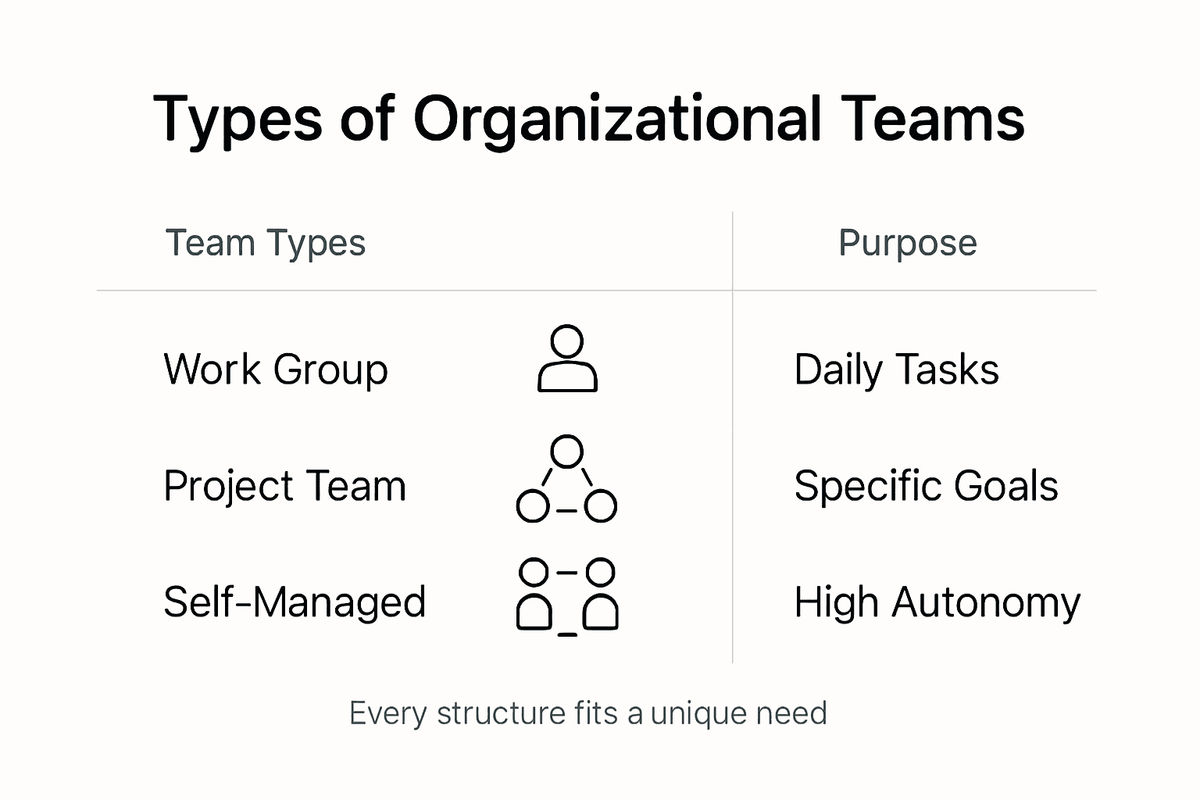 Infographic with types and purposes of teams