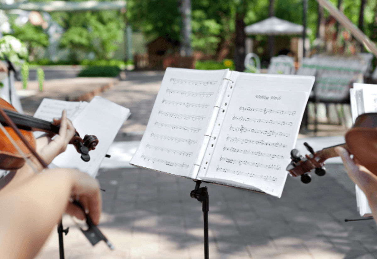 Copy of Galaxy Photo Border General Twitch Banner (5).png muzyka weselna