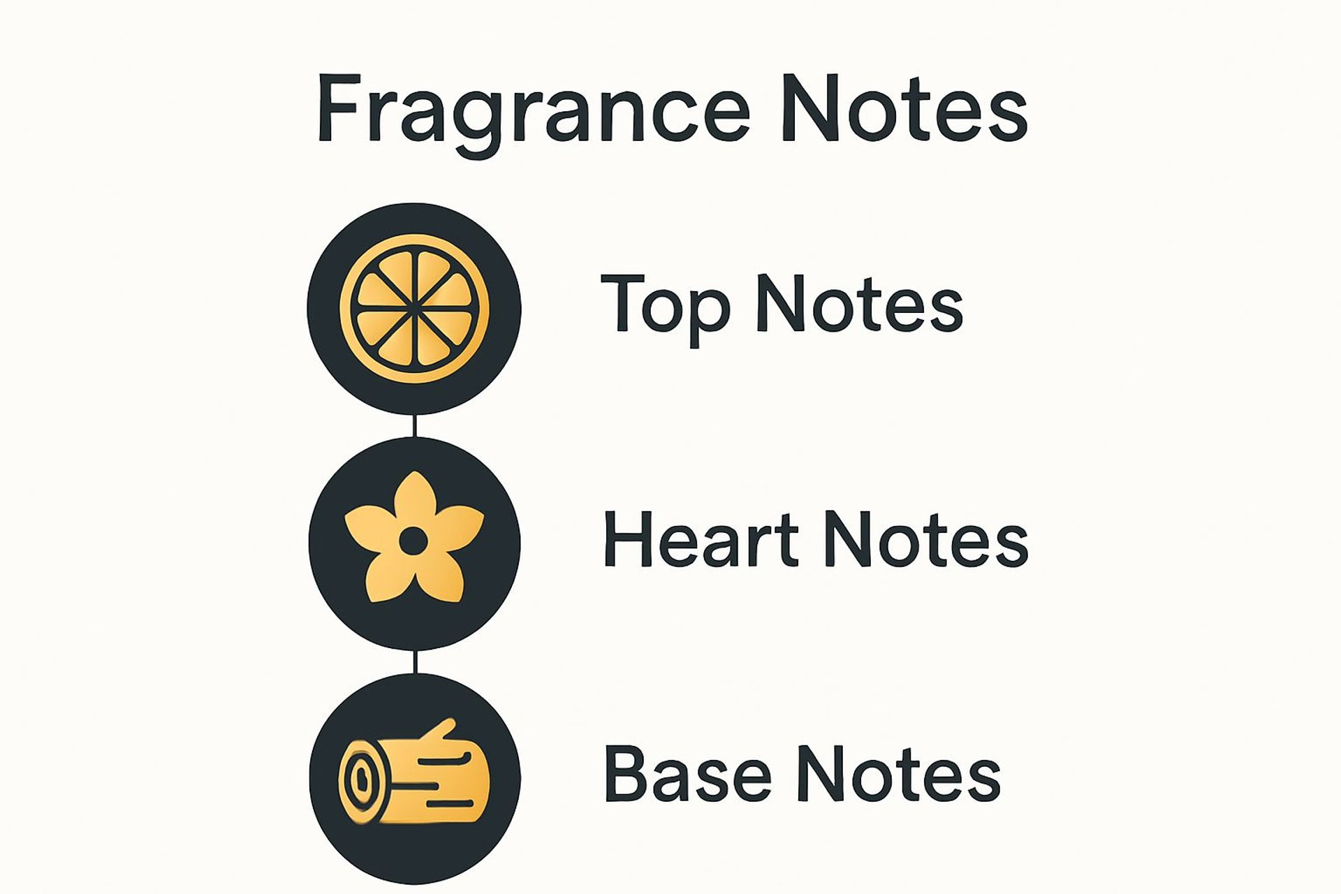 Infografica che mostra gli strati delle note di fragranza: testa, cuore, base