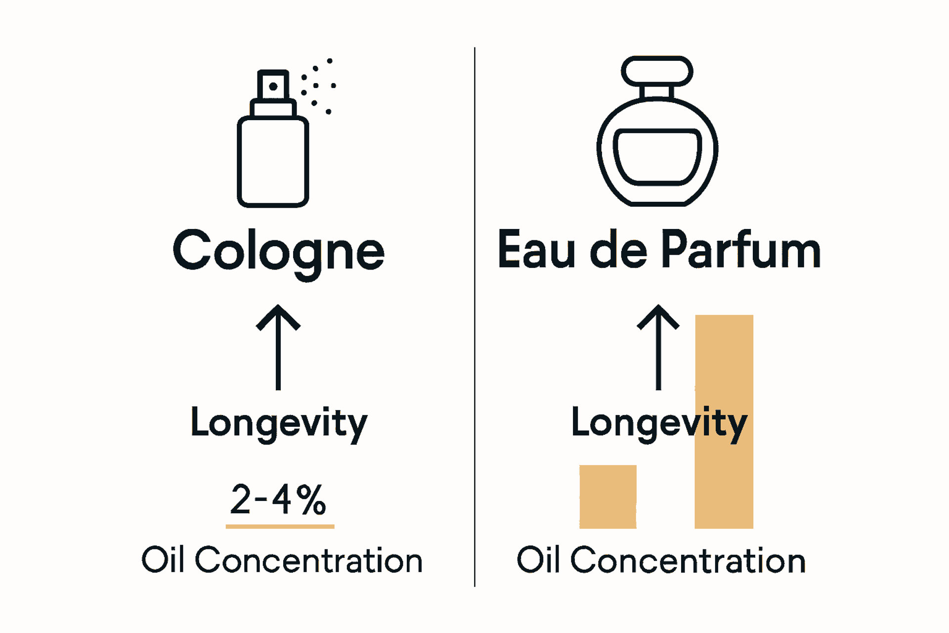 Infographic comparing Cologne and Eau de Parfum concentrations and longevity
