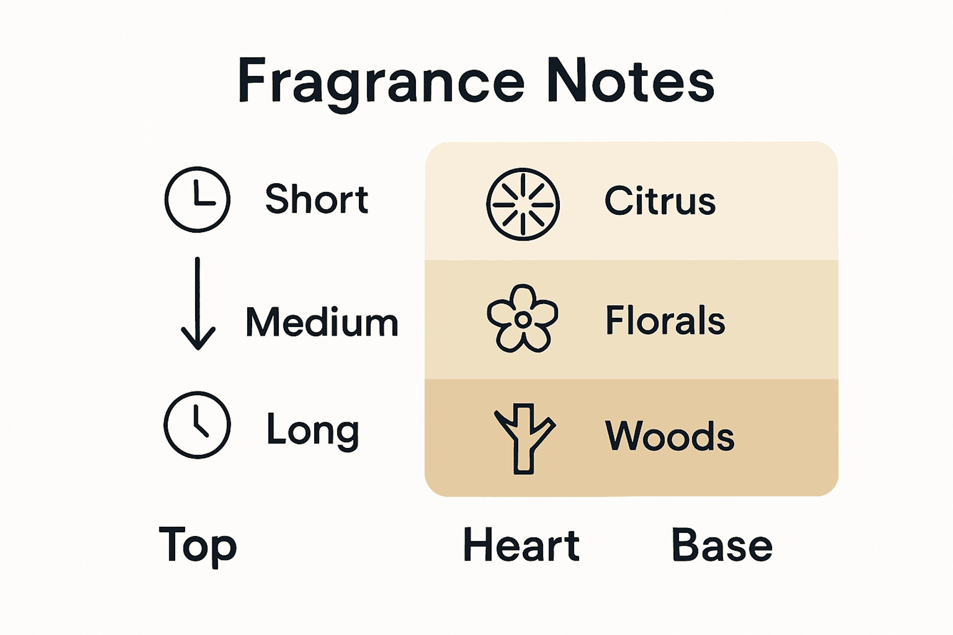 Infografica che confronta le note di testa, di cuore e di fondo del profumo