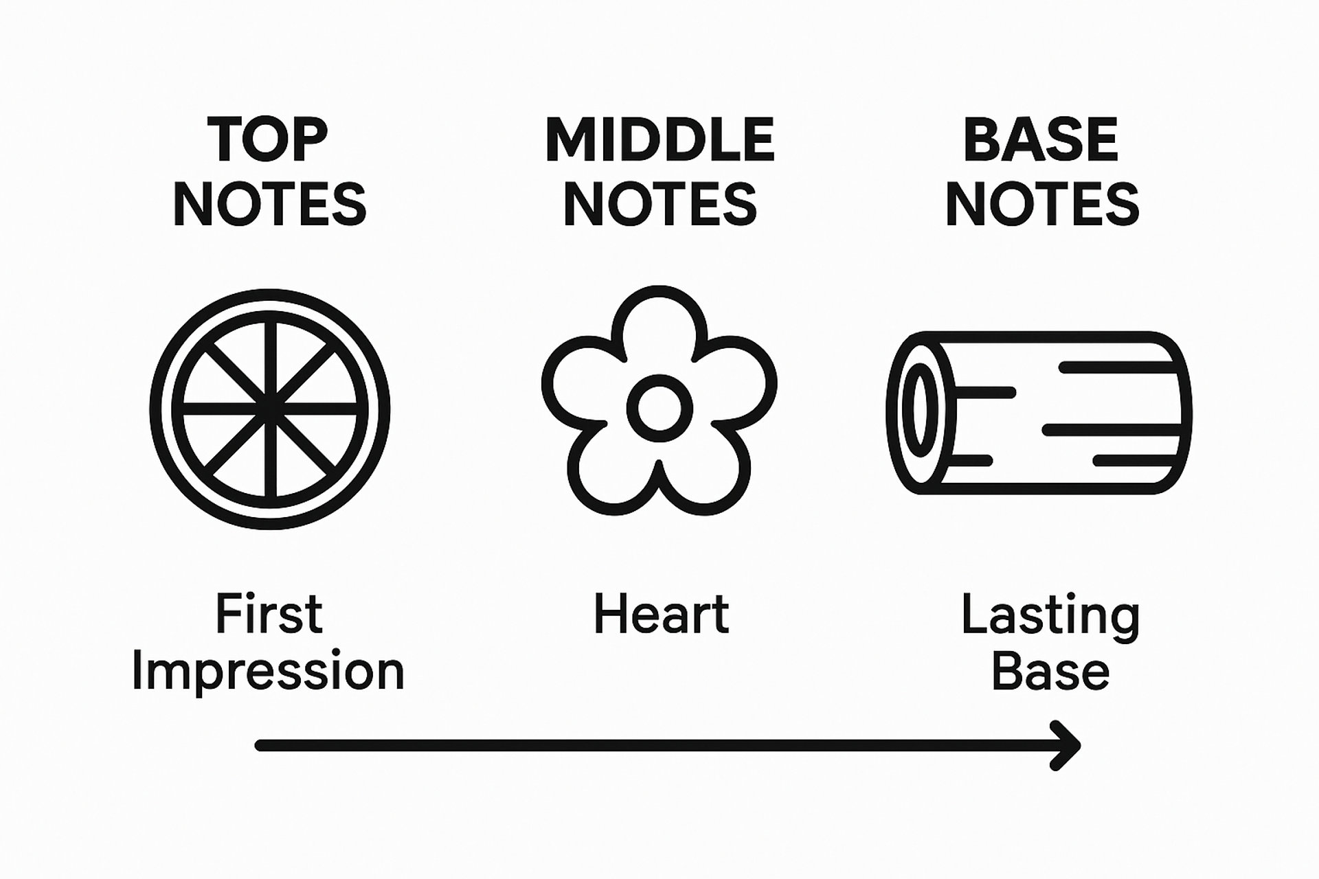 Schema temporale che mostra le note di testa, di cuore e di fondo del profumo