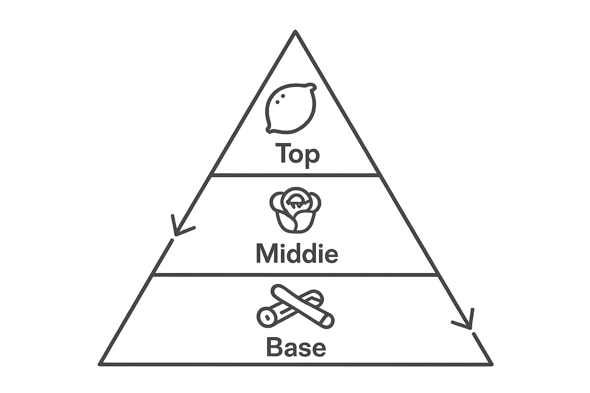Olfactory pyramid showing top, middle, and base fragrance notes using simple icons