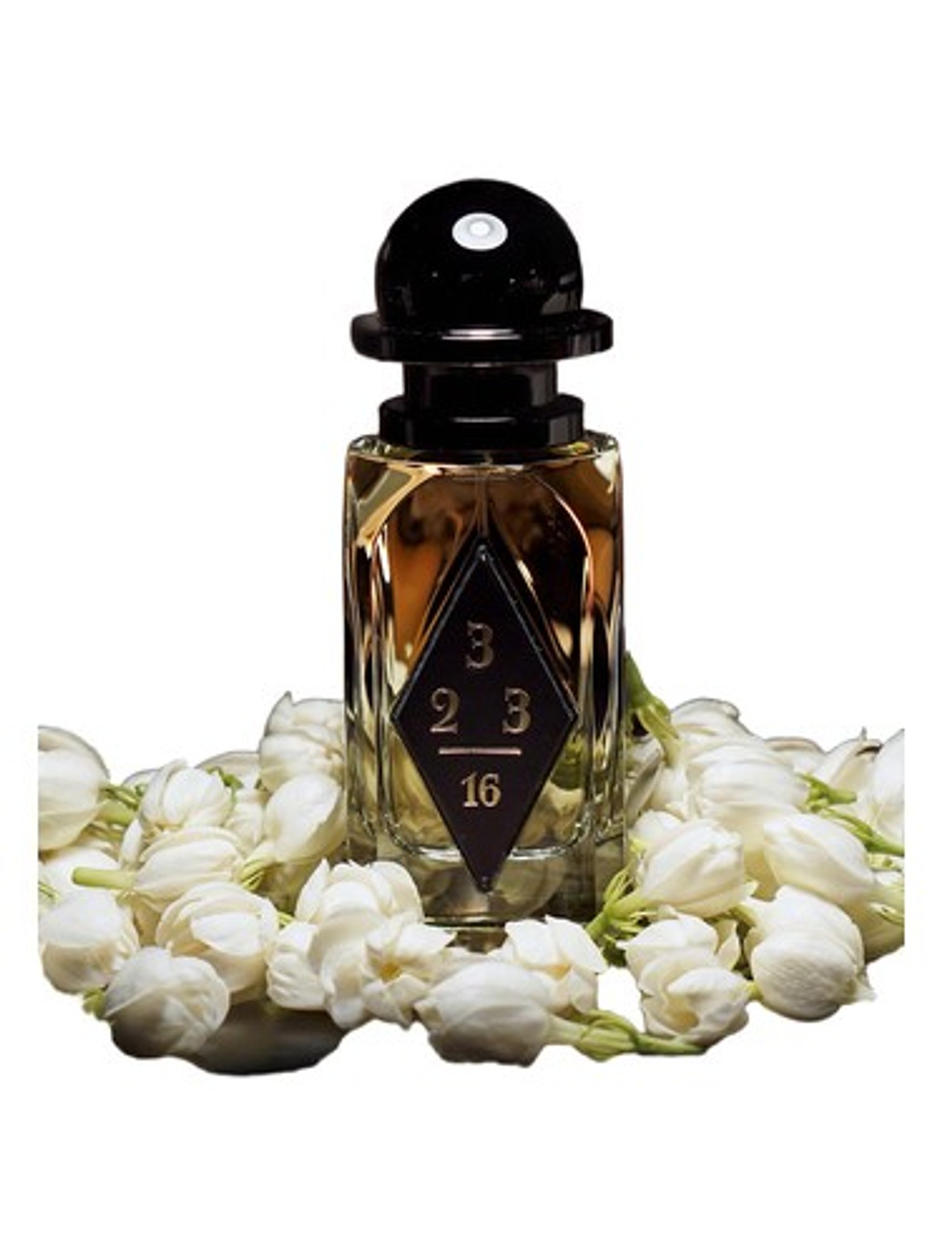 Wild Jasmine by OrDioLab