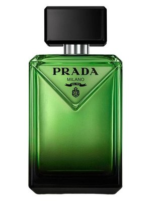 Picture of Paradigme fragrance
