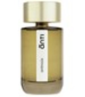 Antinoüs by Anti perfume bottle