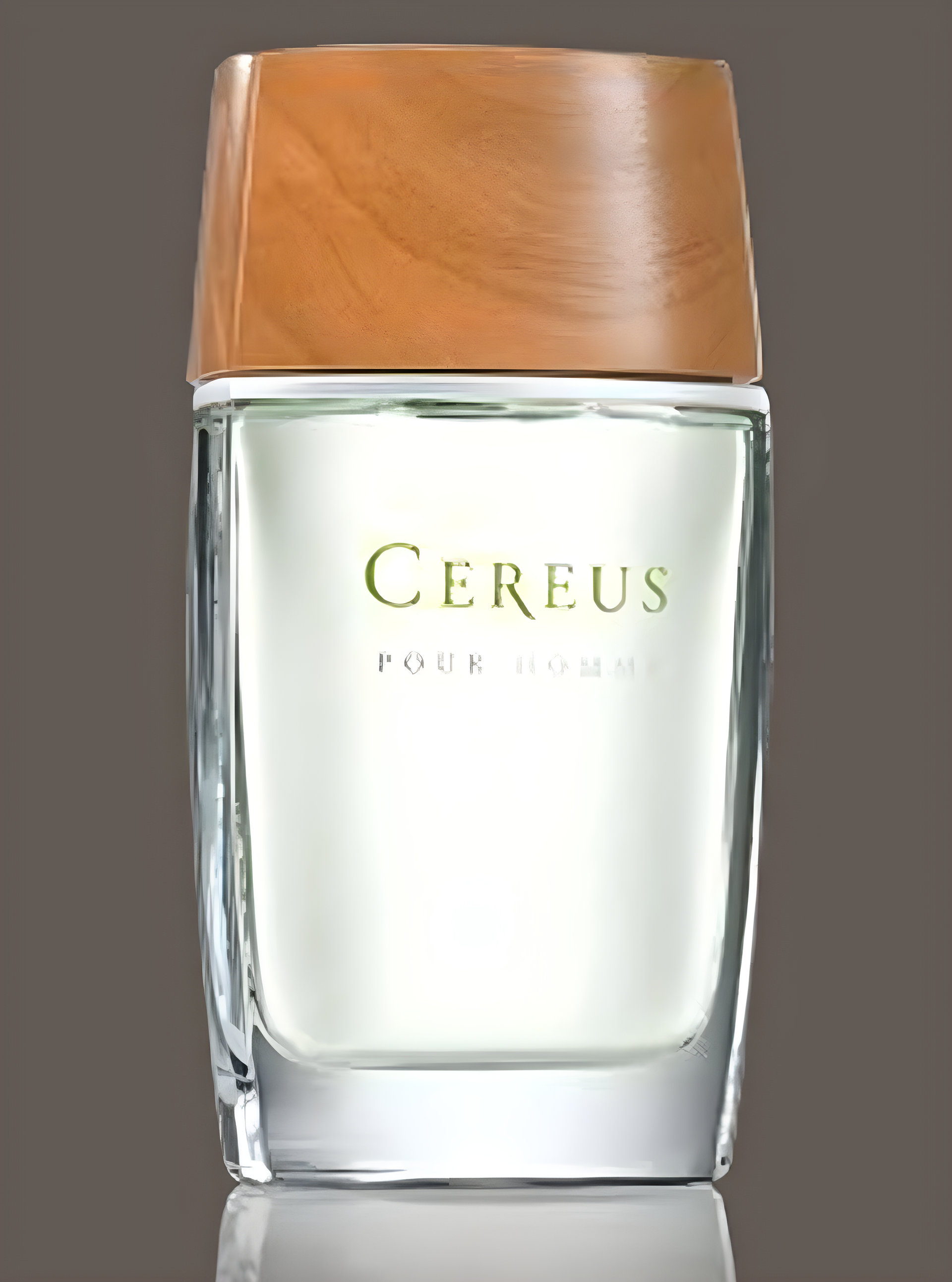 Picture of Cereus No.5 fragrance