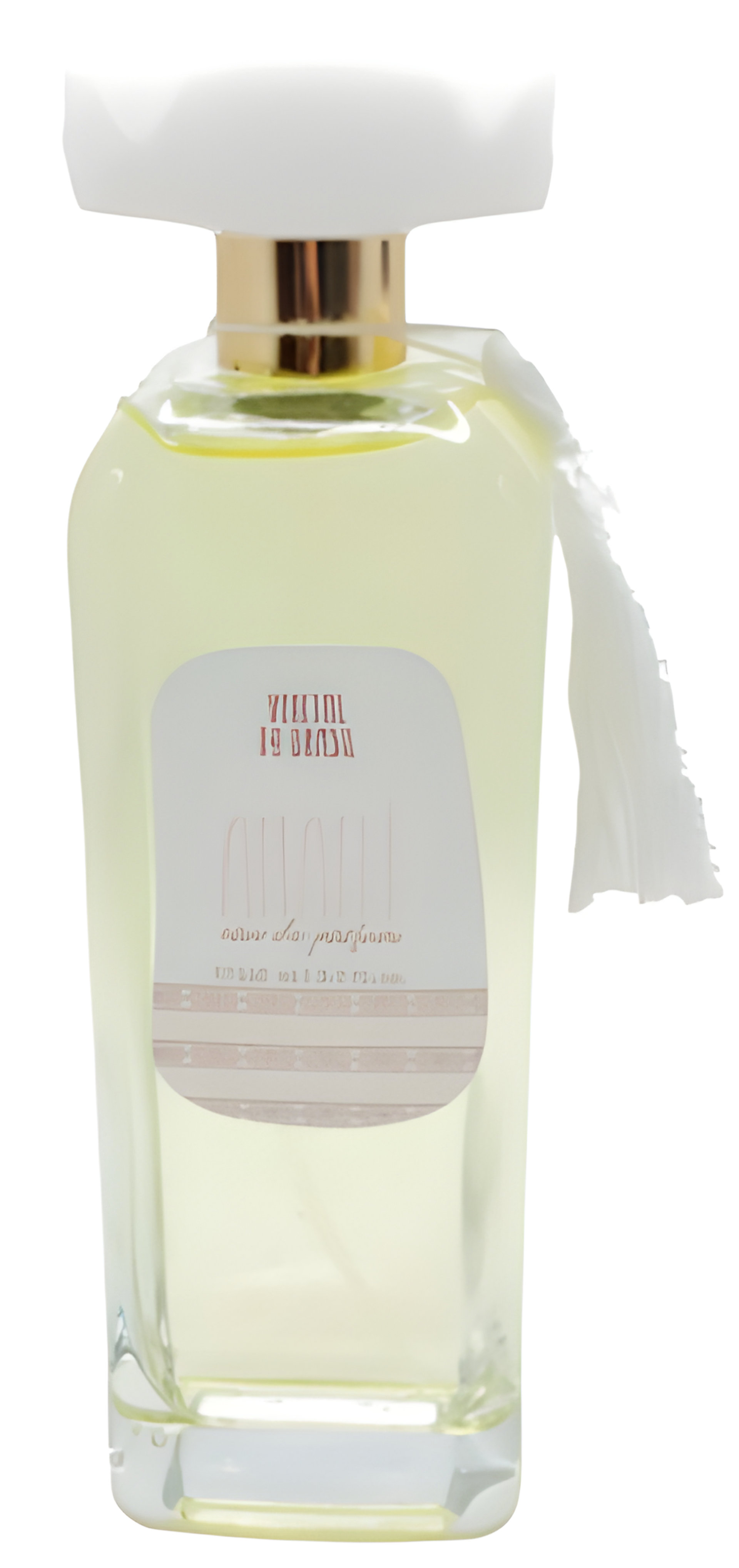 Picture of Anahí fragrance