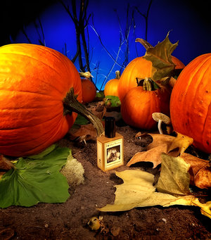 Gunnerson's Pumpkin Patch by Solstice Scents perfume bottle