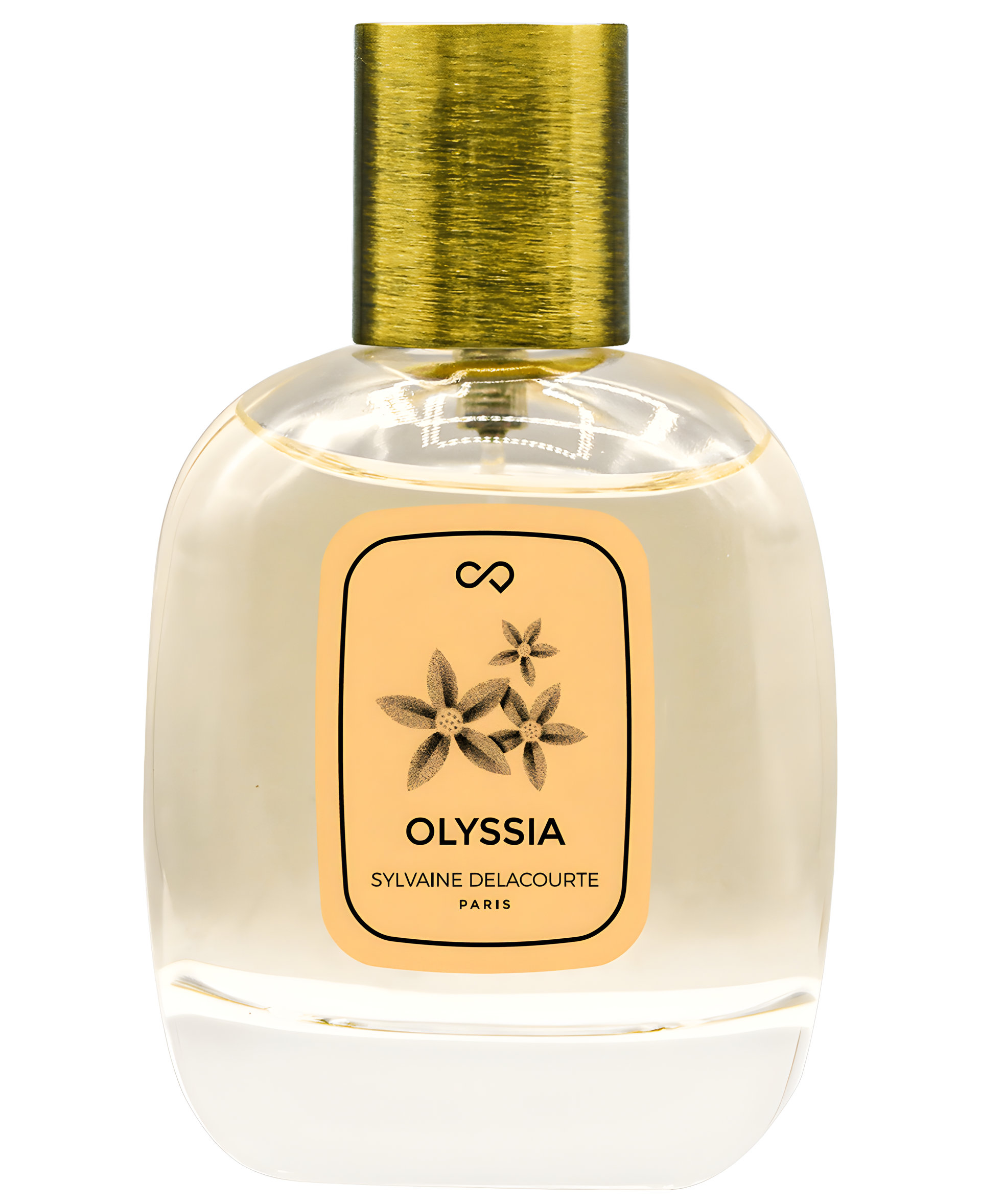 Picture of Olyssia fragrance