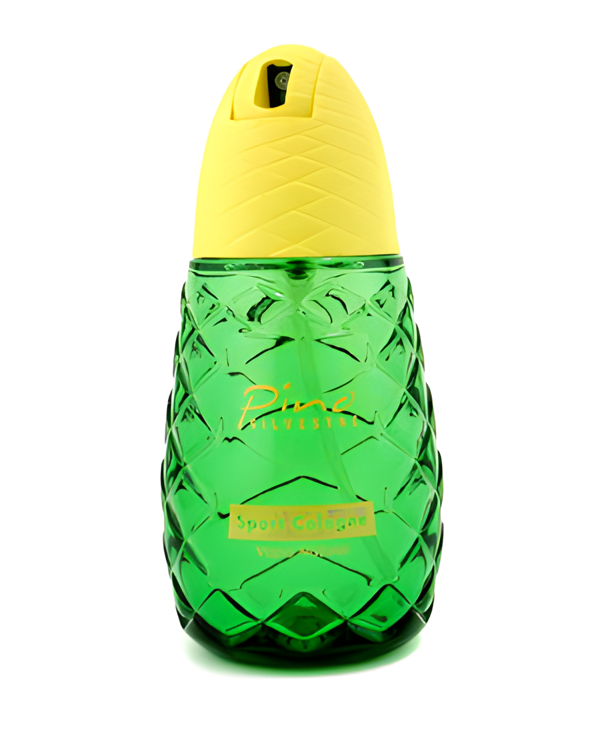 Picture of Pino Silvestre Sport Cologne fragrance