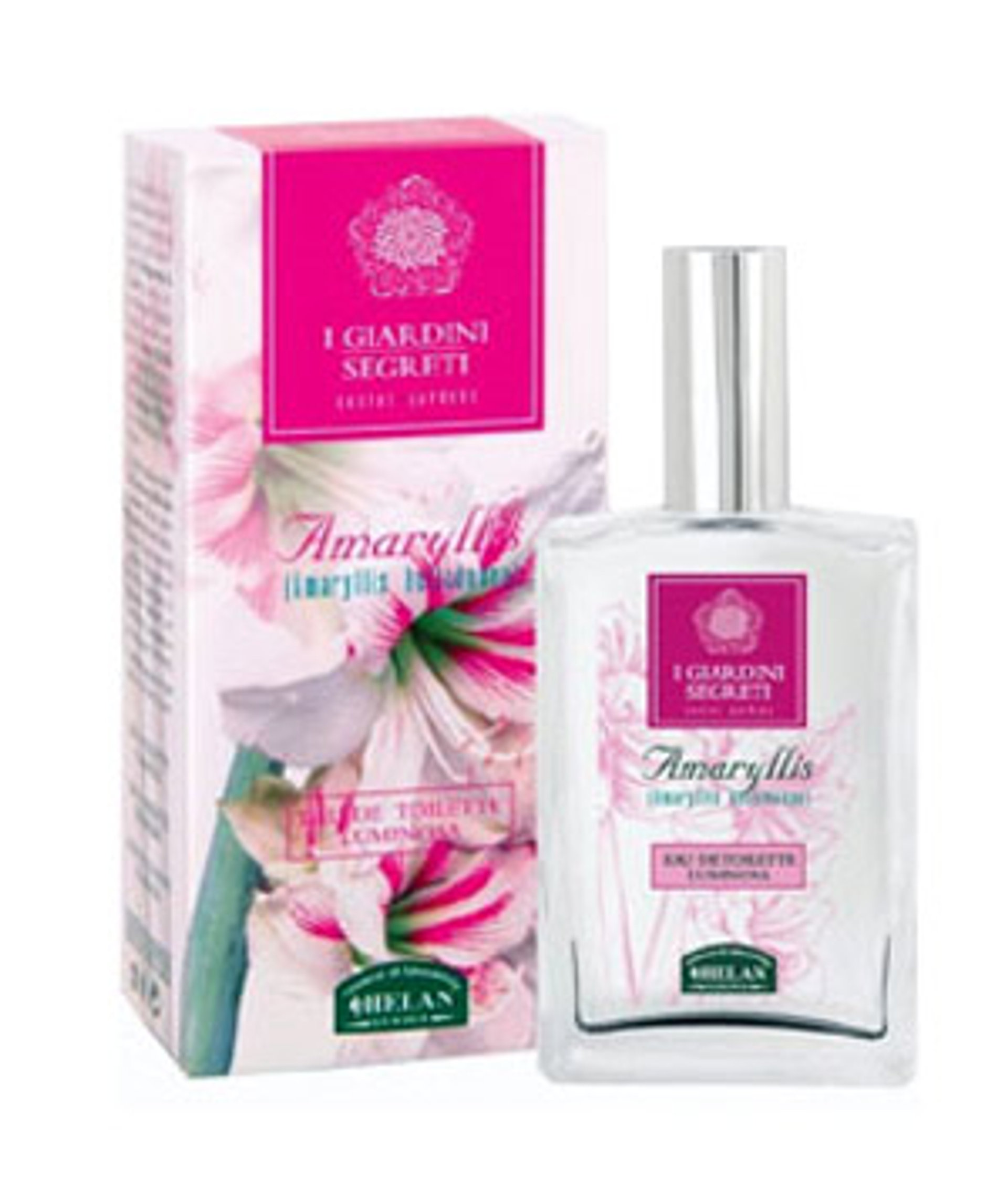 Picture of Amaryllis fragrance