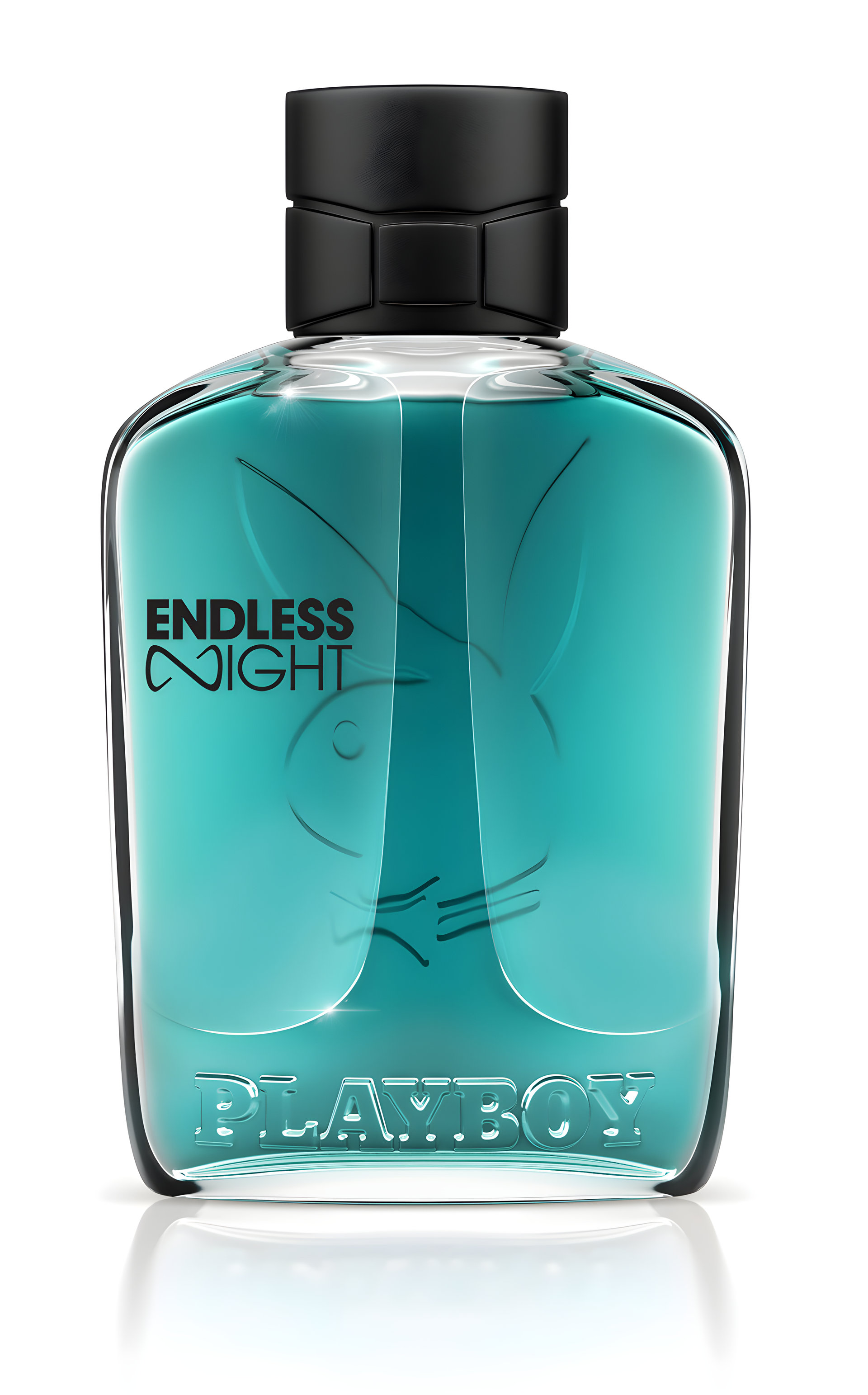 Picture of Endless Night for Him fragrance