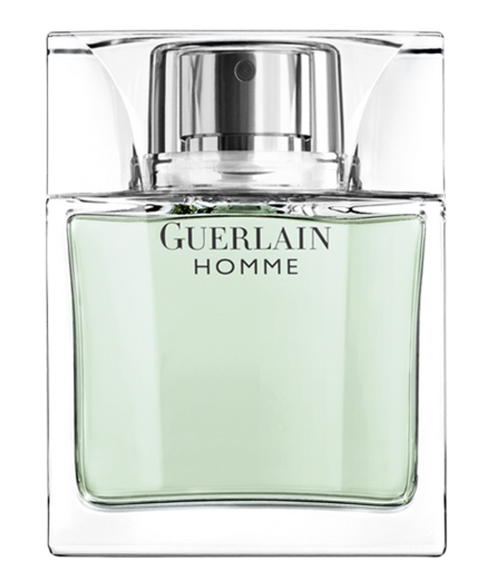 Picture of Guerlain Homme fragrance
