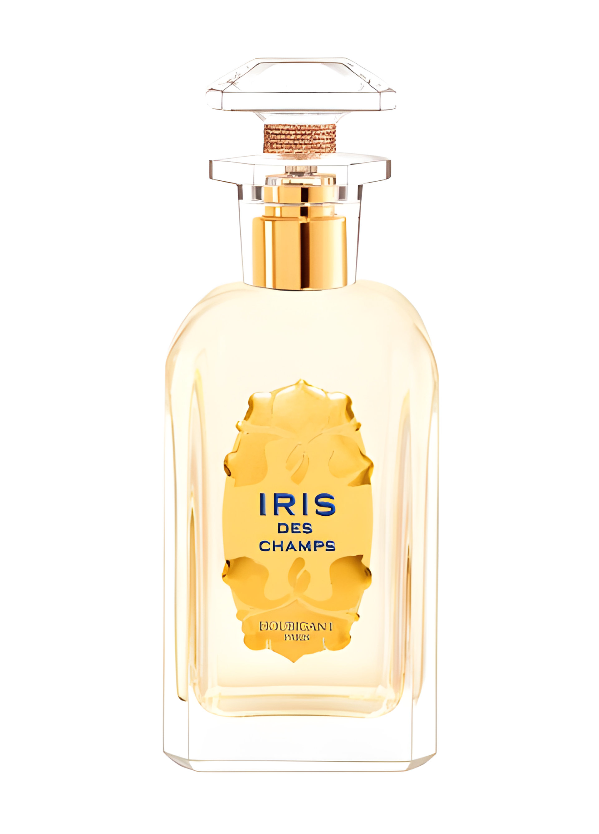 Picture of Iris Des Champs fragrance