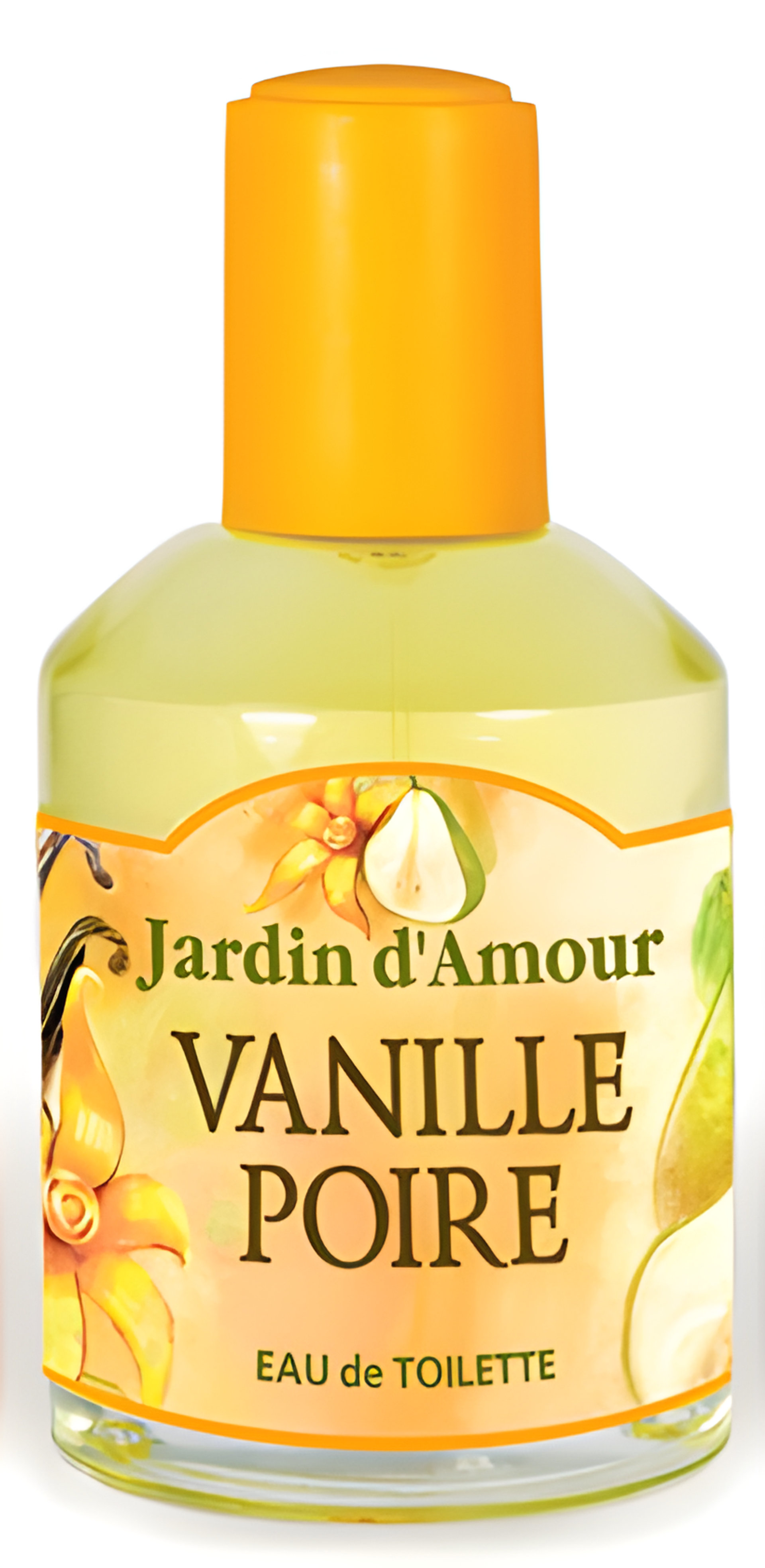 Picture of Vanille Poire fragrance