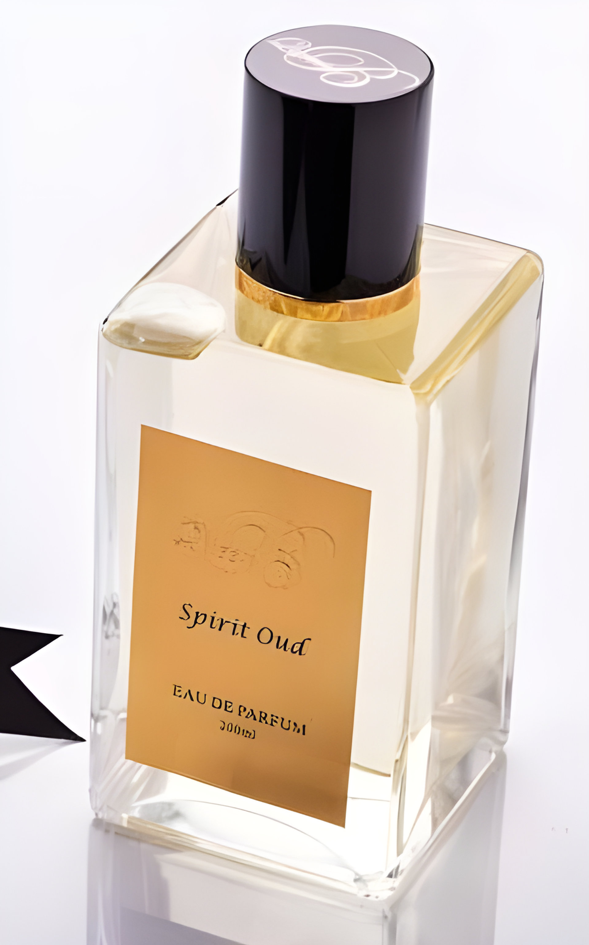 Picture of Spirit Oud fragrance