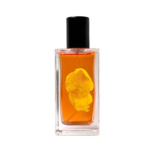 Picture of Buen Camino fragrance