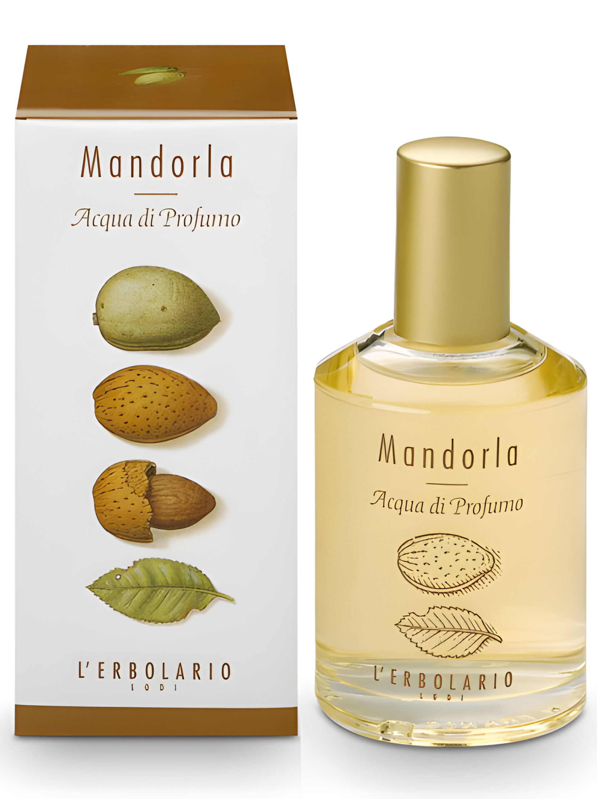 Picture of Mandorla fragrance