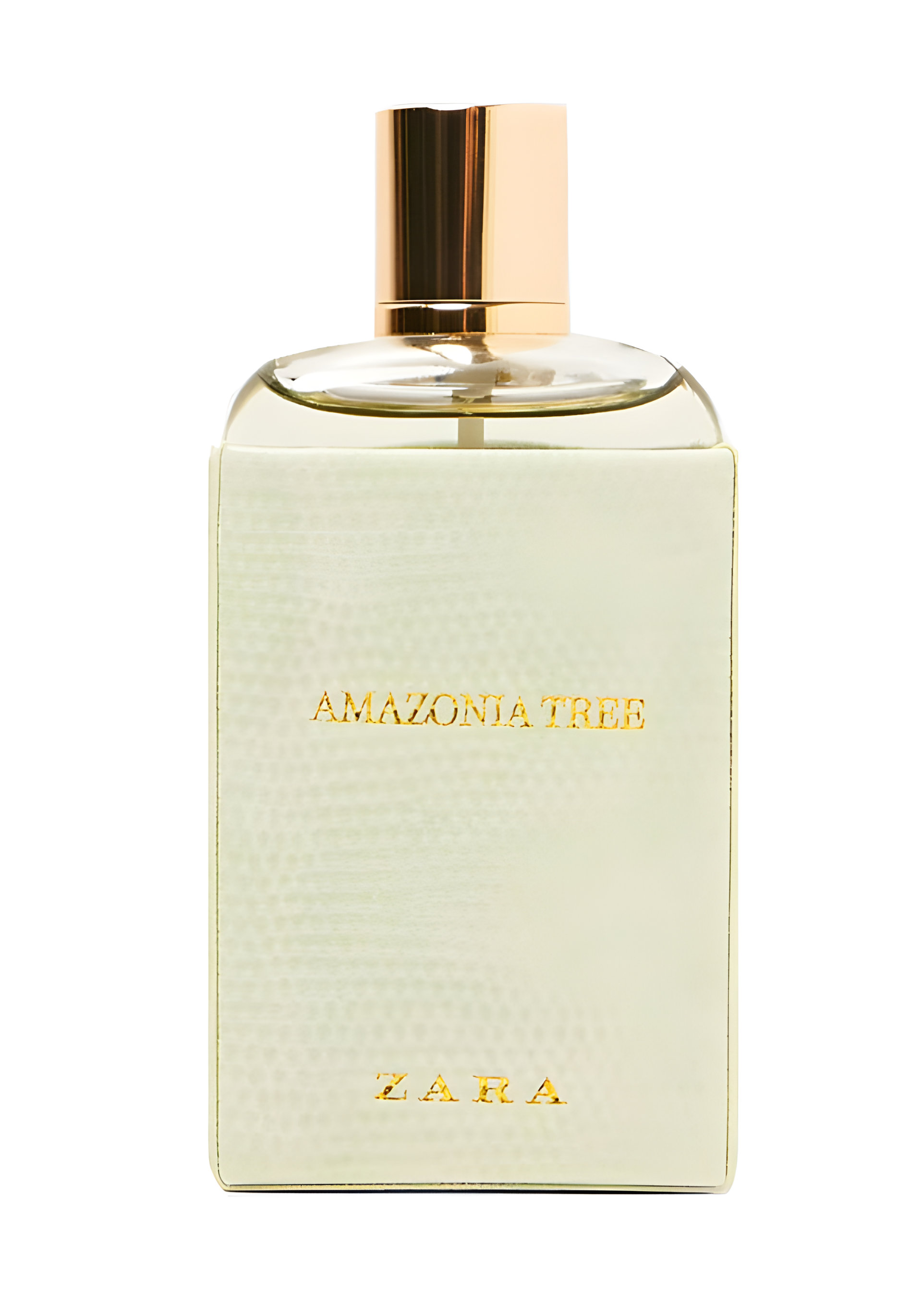 Picture of Amazonia Tree fragrance