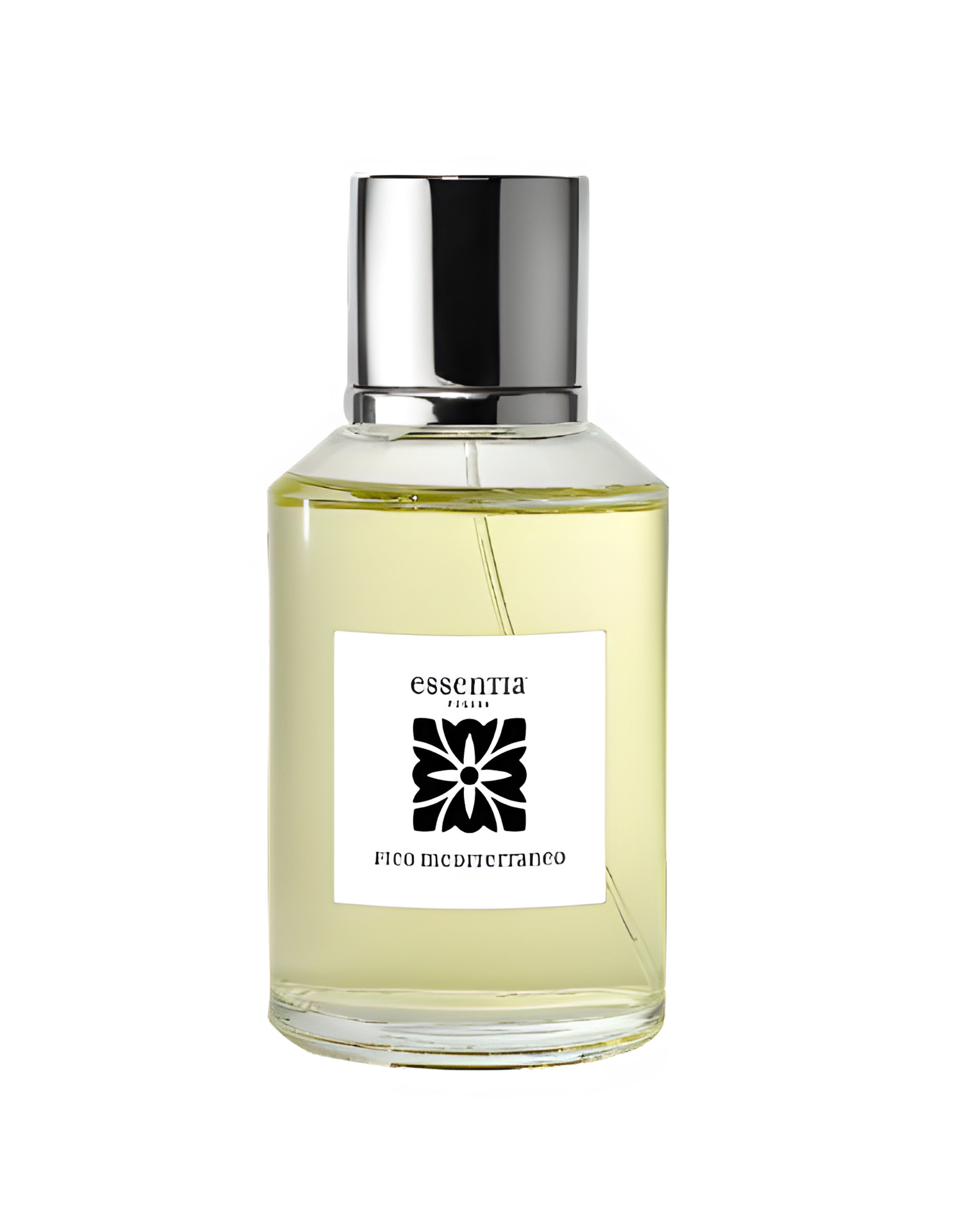 Picture of Fico Mediterraneo fragrance