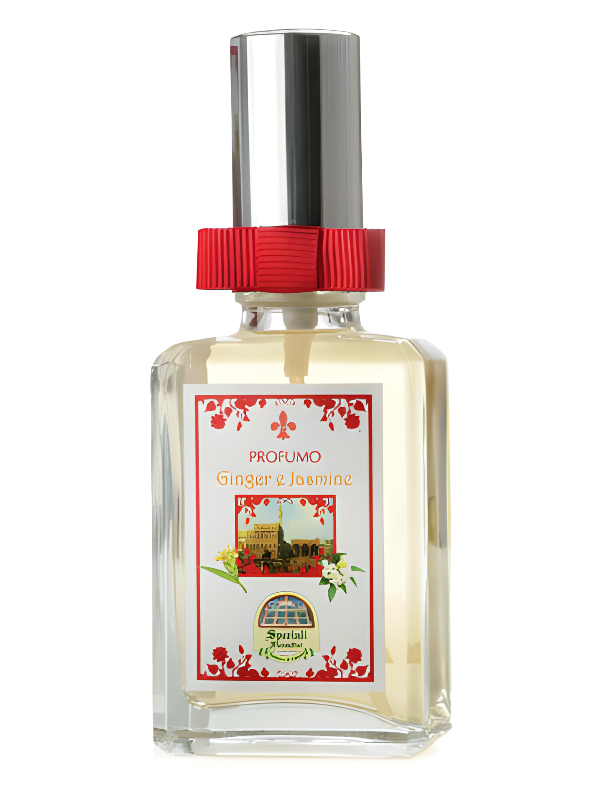Picture of Ginger E Jasmine fragrance