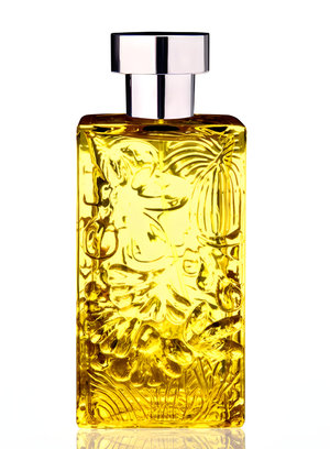 Amerindian Gardens by Nicolas Danila perfume bottle