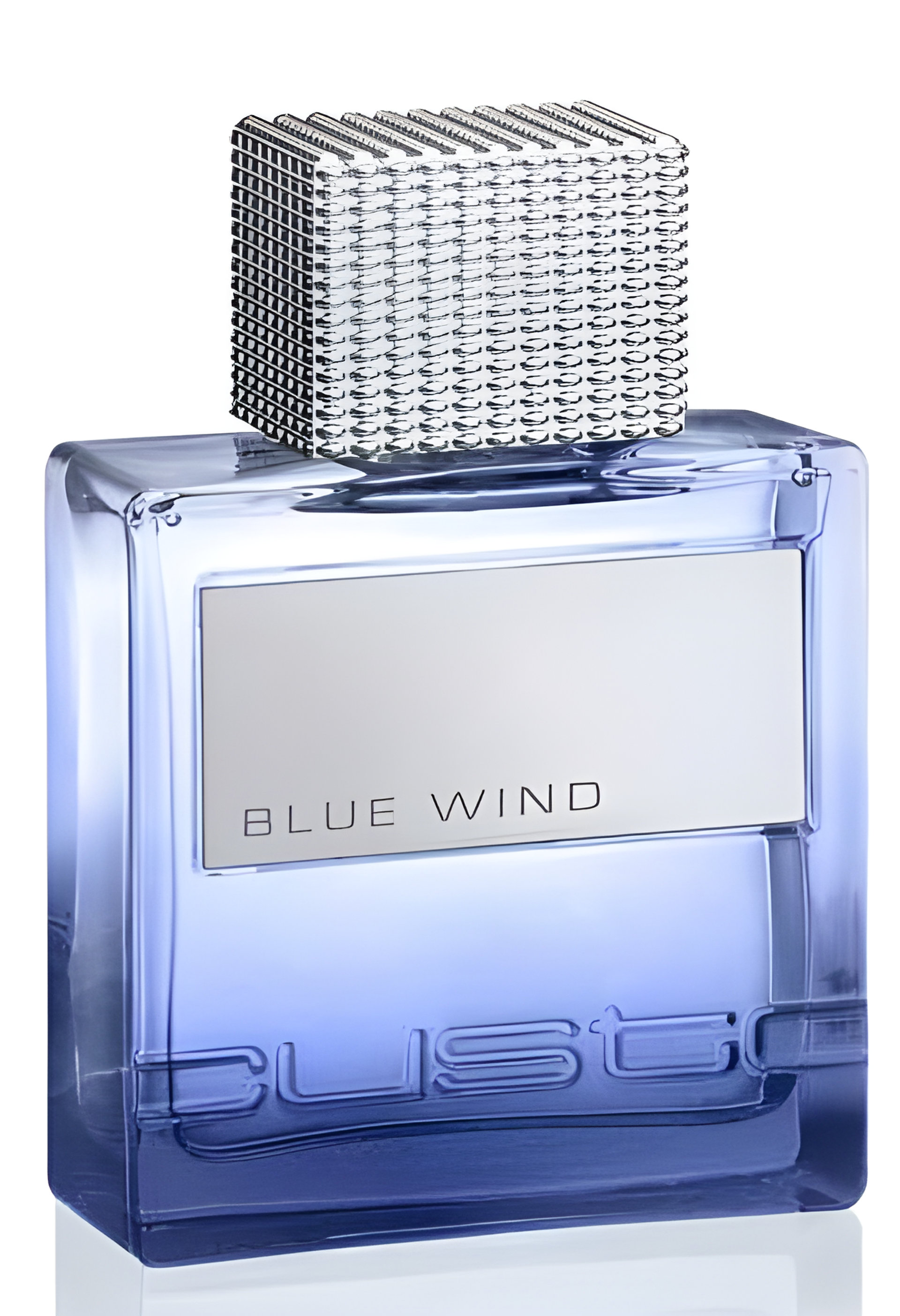 Picture of Blue Wind fragrance