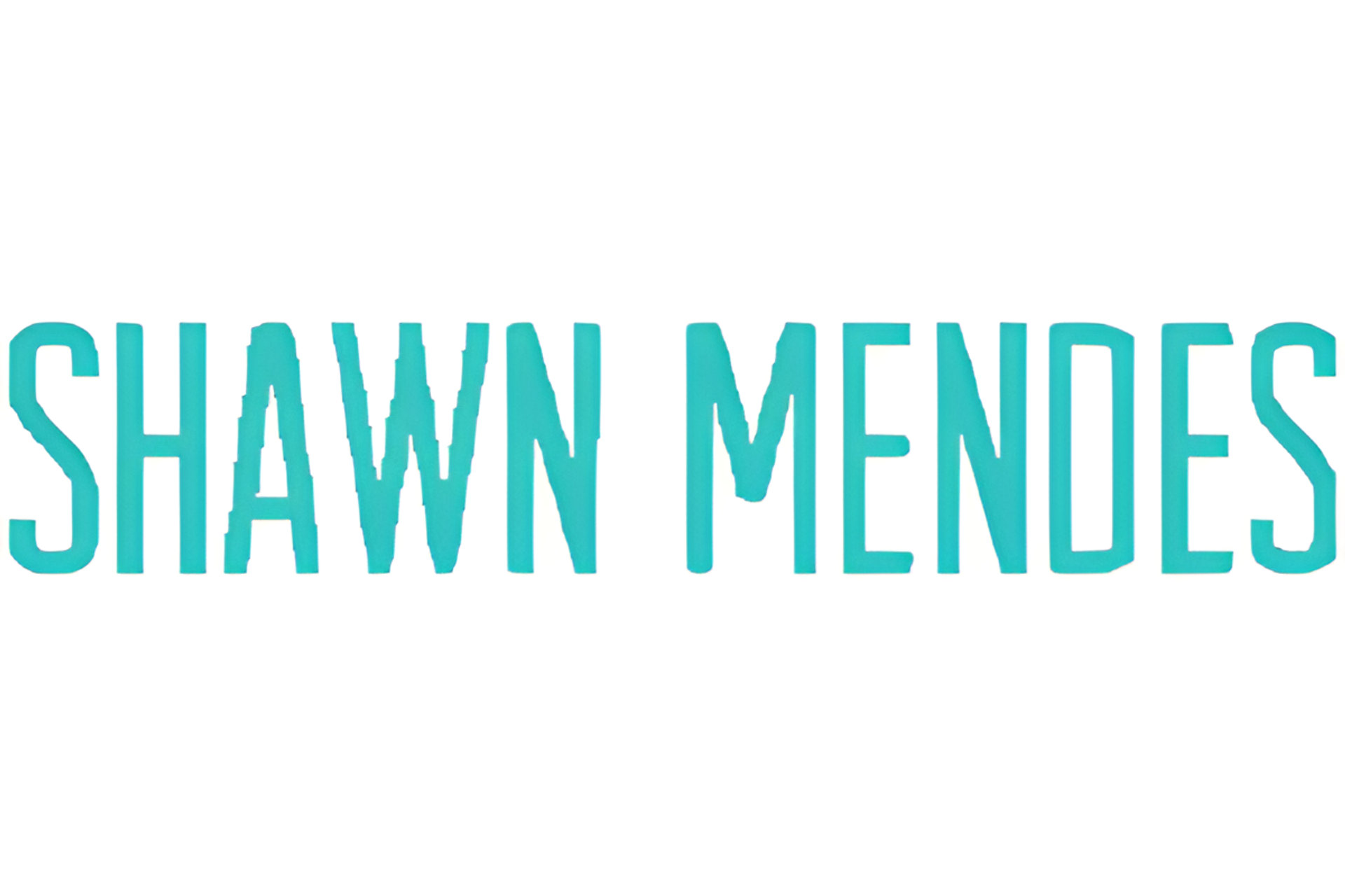 Picture of Shawn Mendes brand