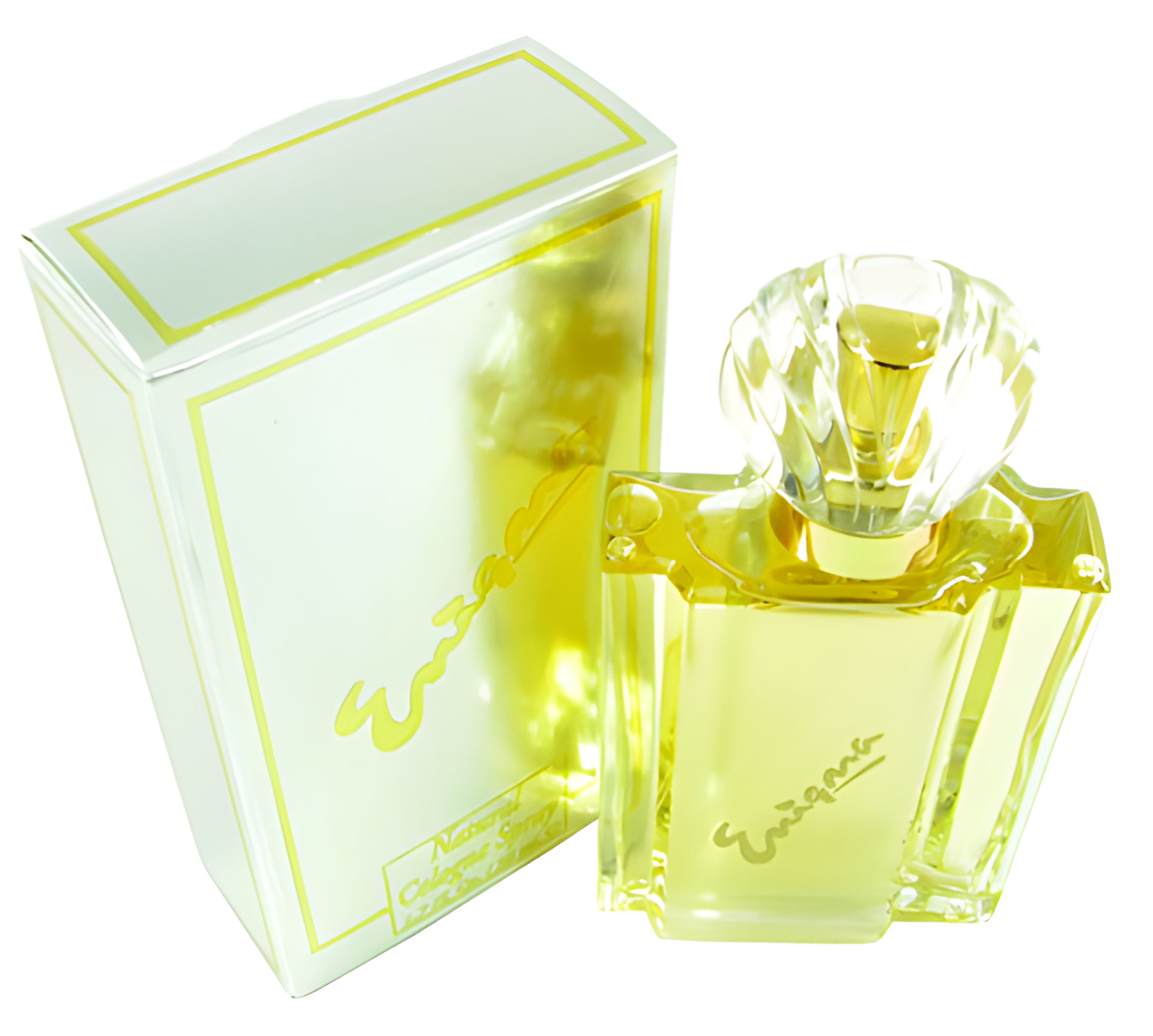 Picture of Enigma fragrance