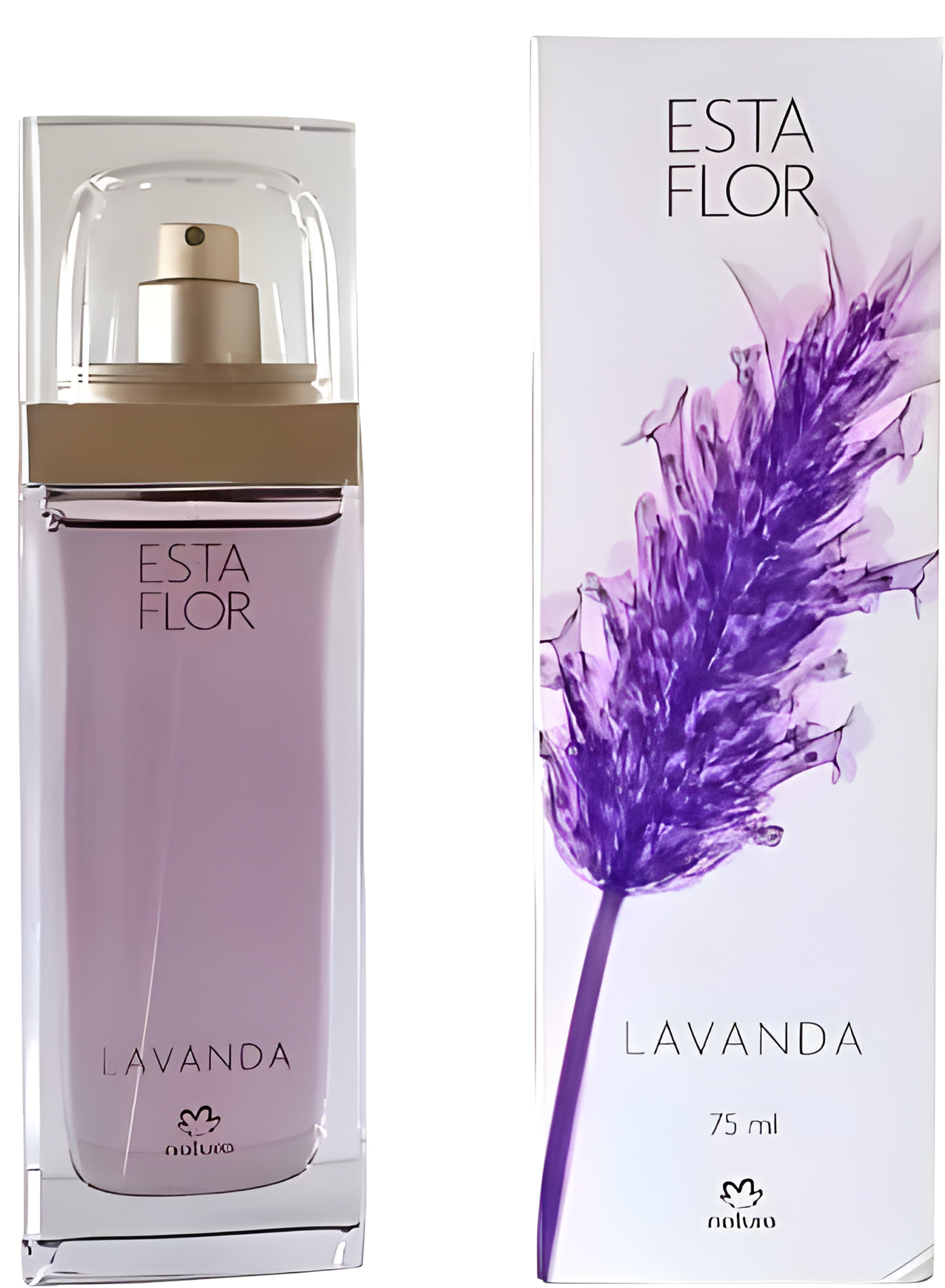 Picture of Esta Flor Lavanda fragrance