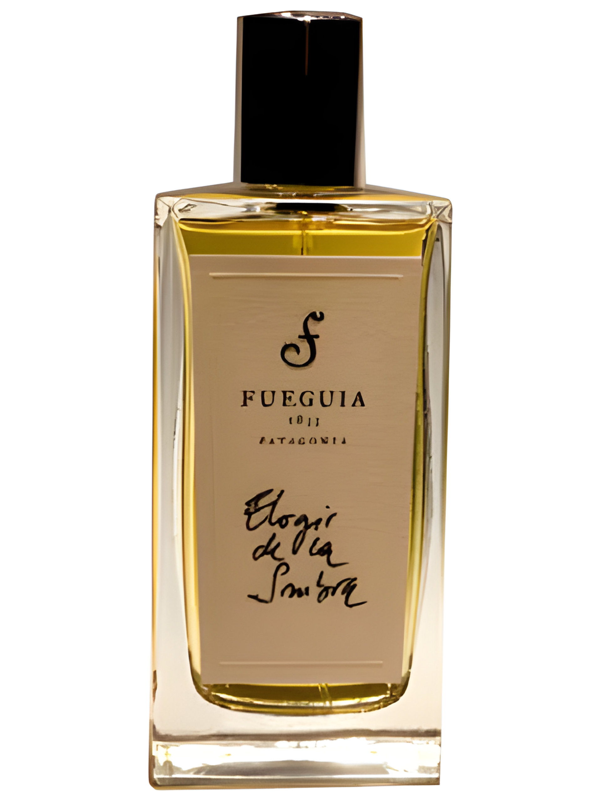 Elogio de La Sombra by Fueguia 1833