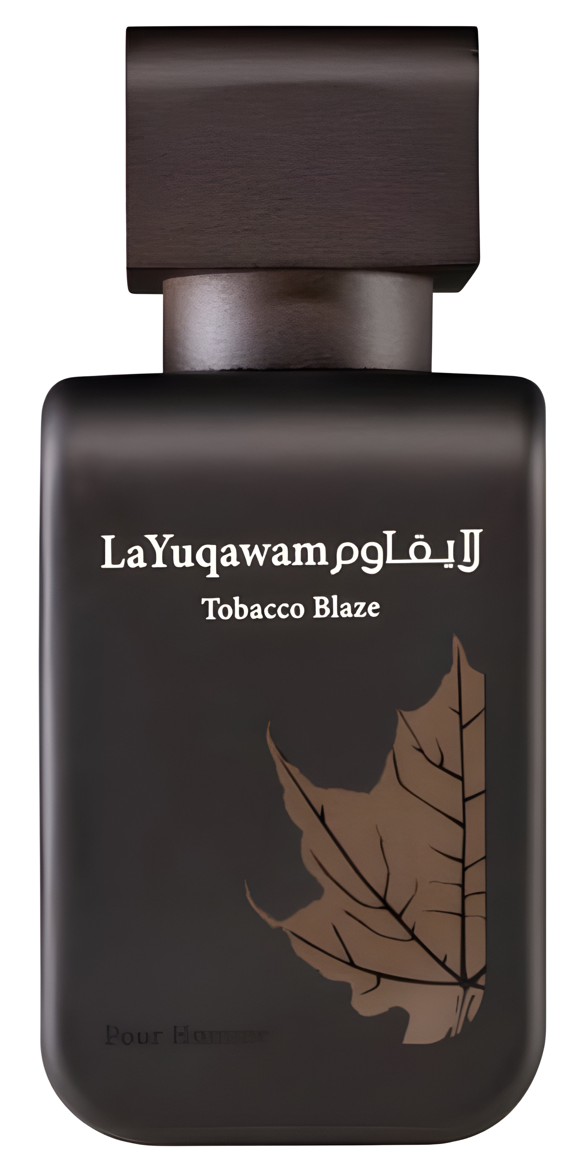 Picture of Tobacco Blaze fragrance