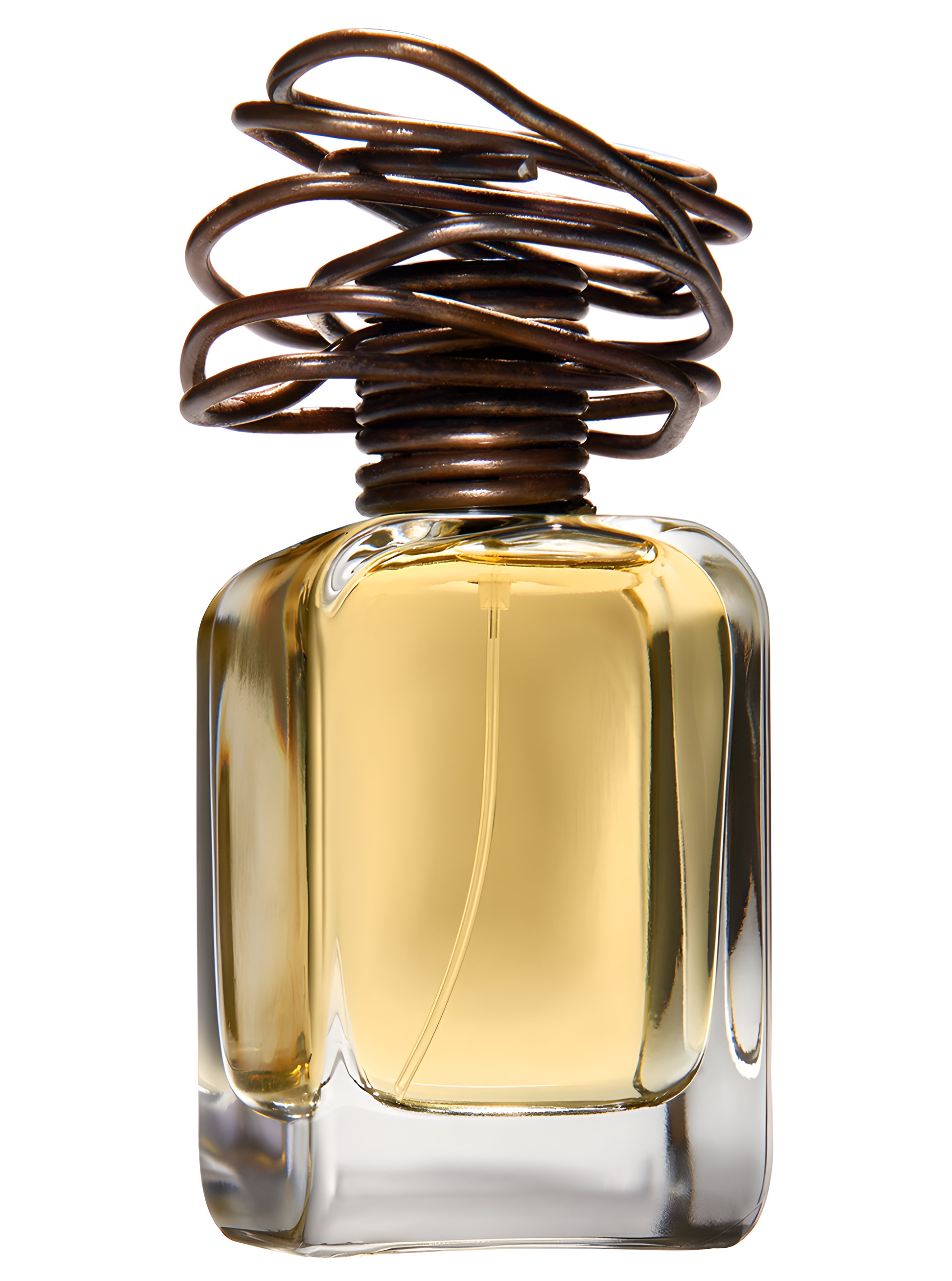 Picture of Archetipo fragrance