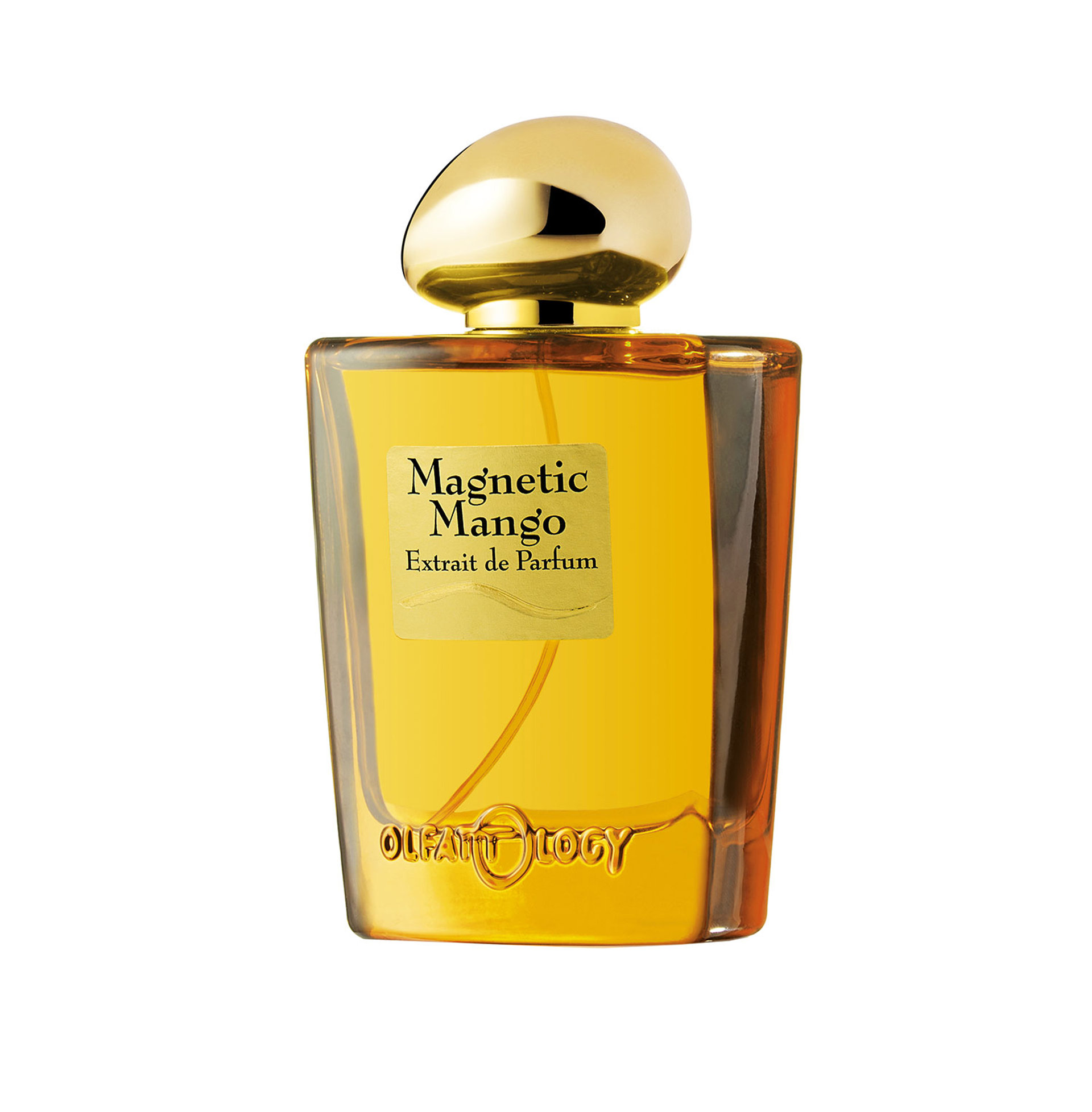 Picture of Magnetic Mango fragrance
