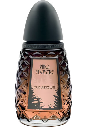 Oud Absolute by Pino Silvestre perfume bottle