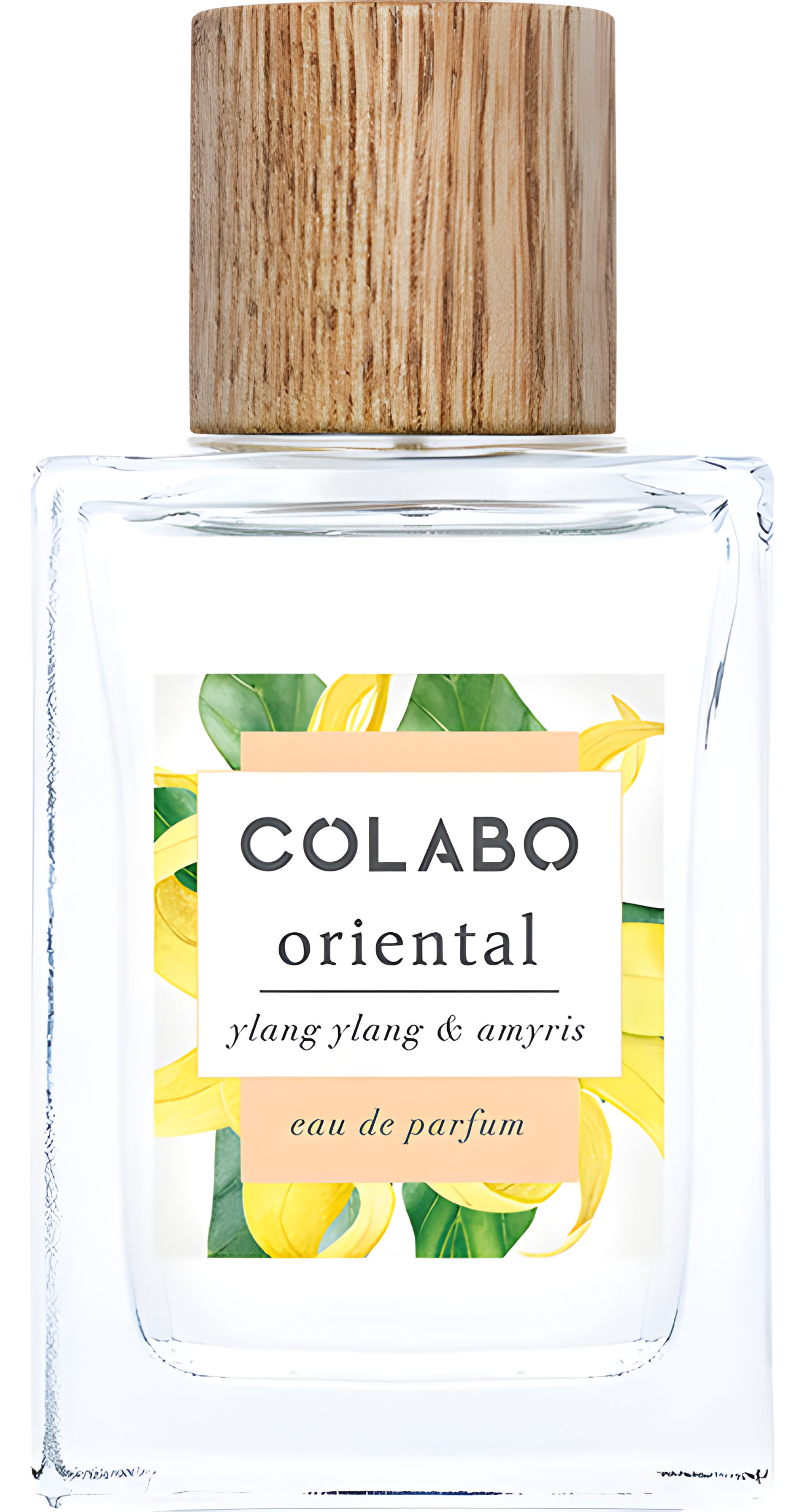 Picture of Oriental Ylang Ylang & Amyris fragrance