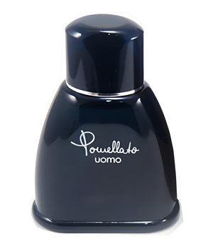 Pomellato Uomo by Pomellato perfume bottle