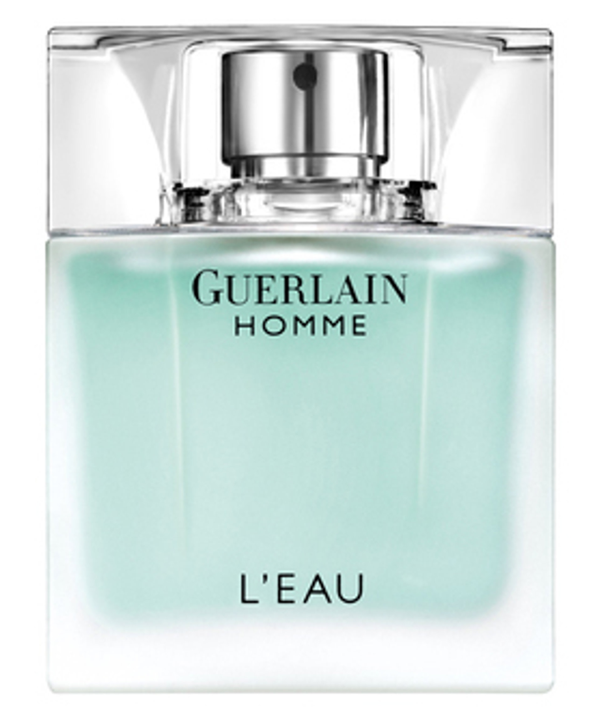 Picture of Guerlain Homme L'Eau fragrance
