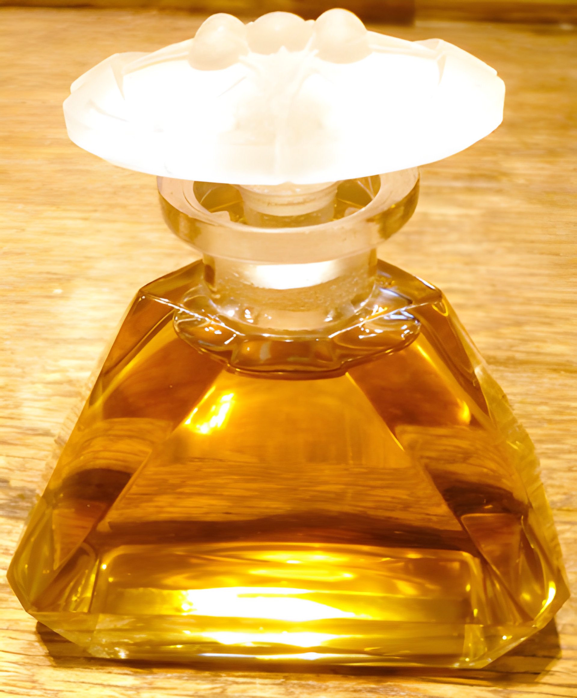 Picture of Lys Epona fragrance