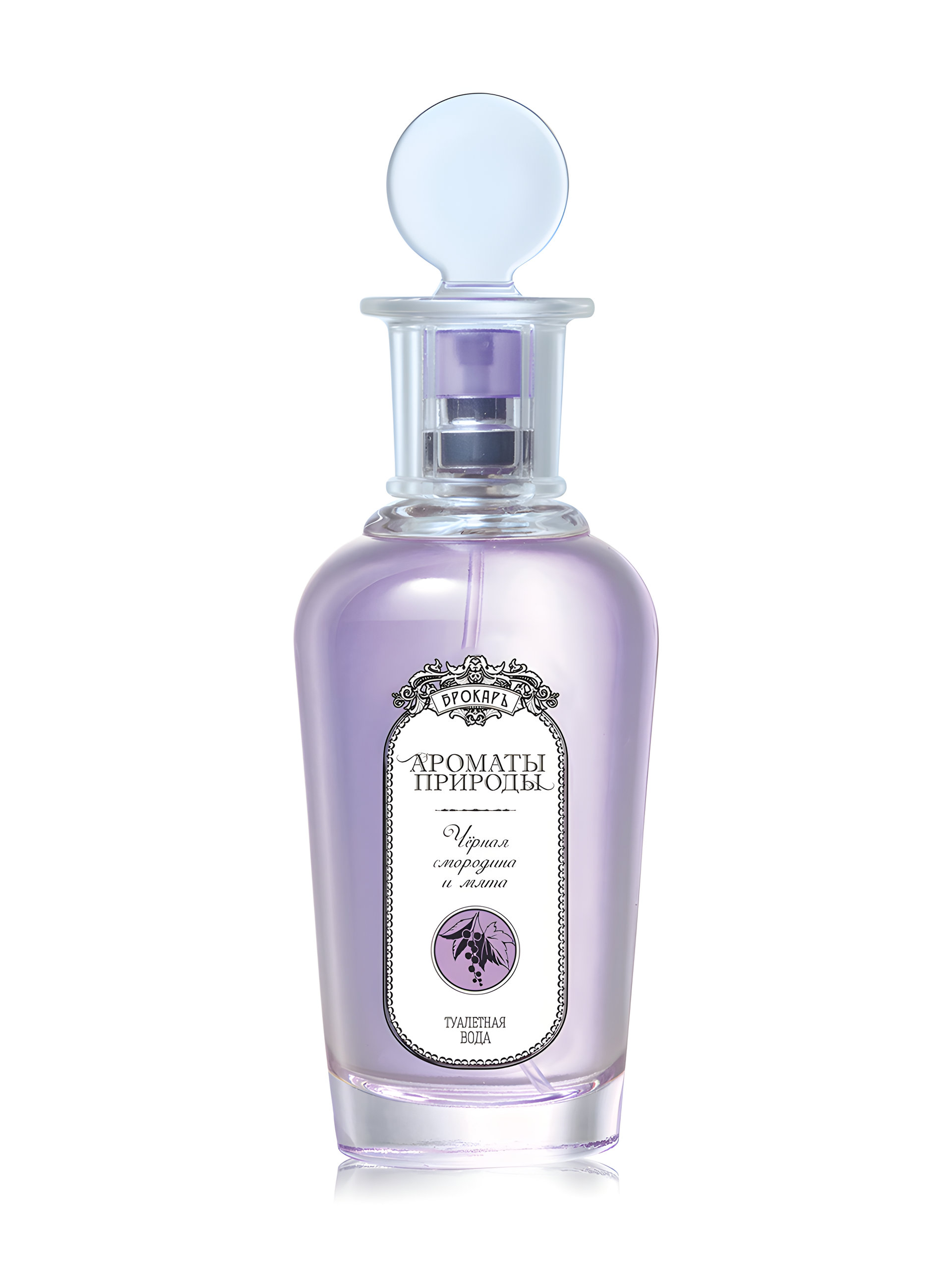 Picture of Черная Смородина И Мята - Black Currant and Mint fragrance