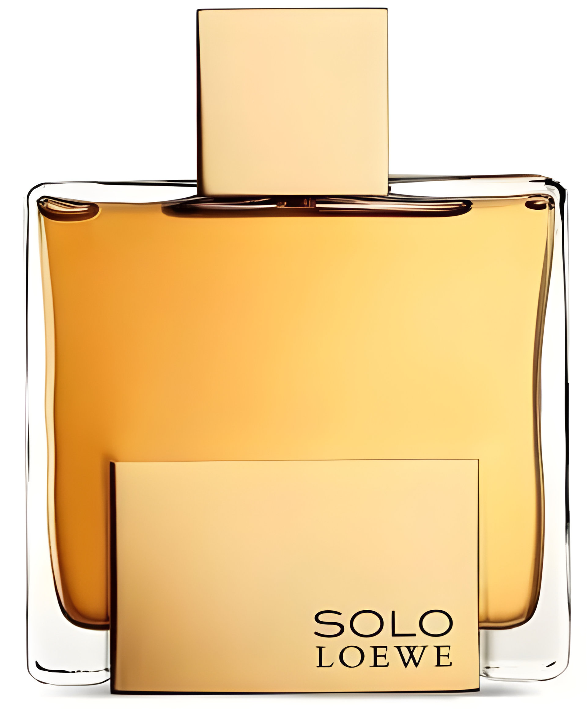 Picture of Solo Loewe Absoluto fragrance