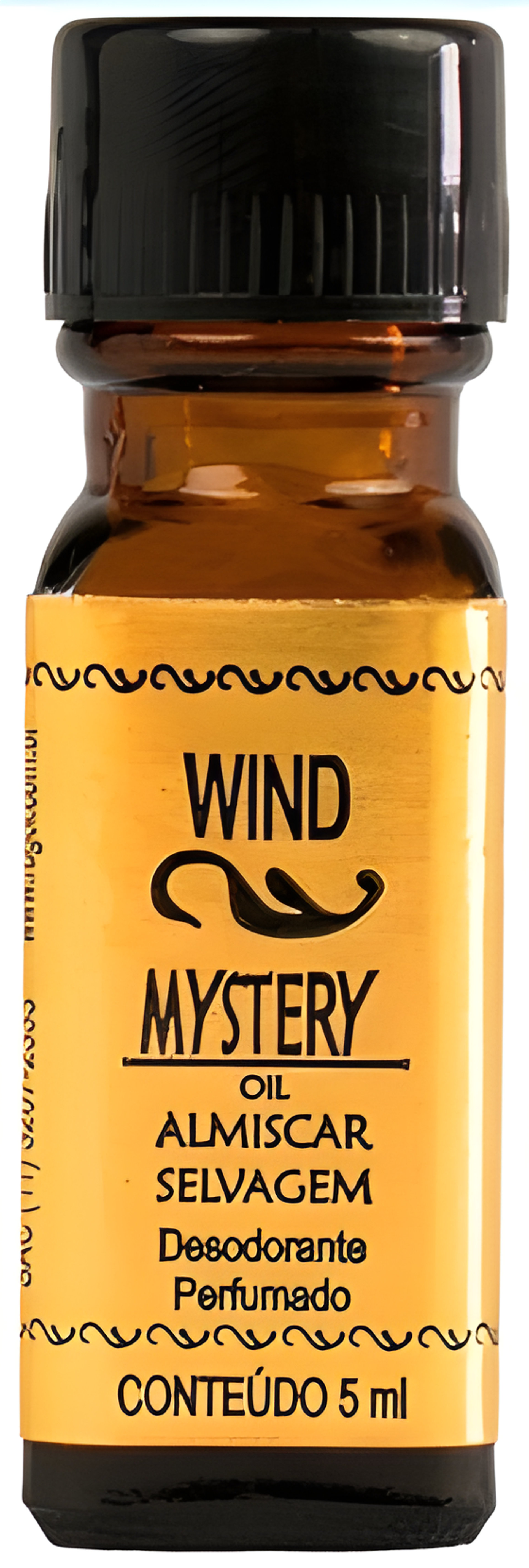 Picture of Wind Mystery Almíscar Selvagem fragrance