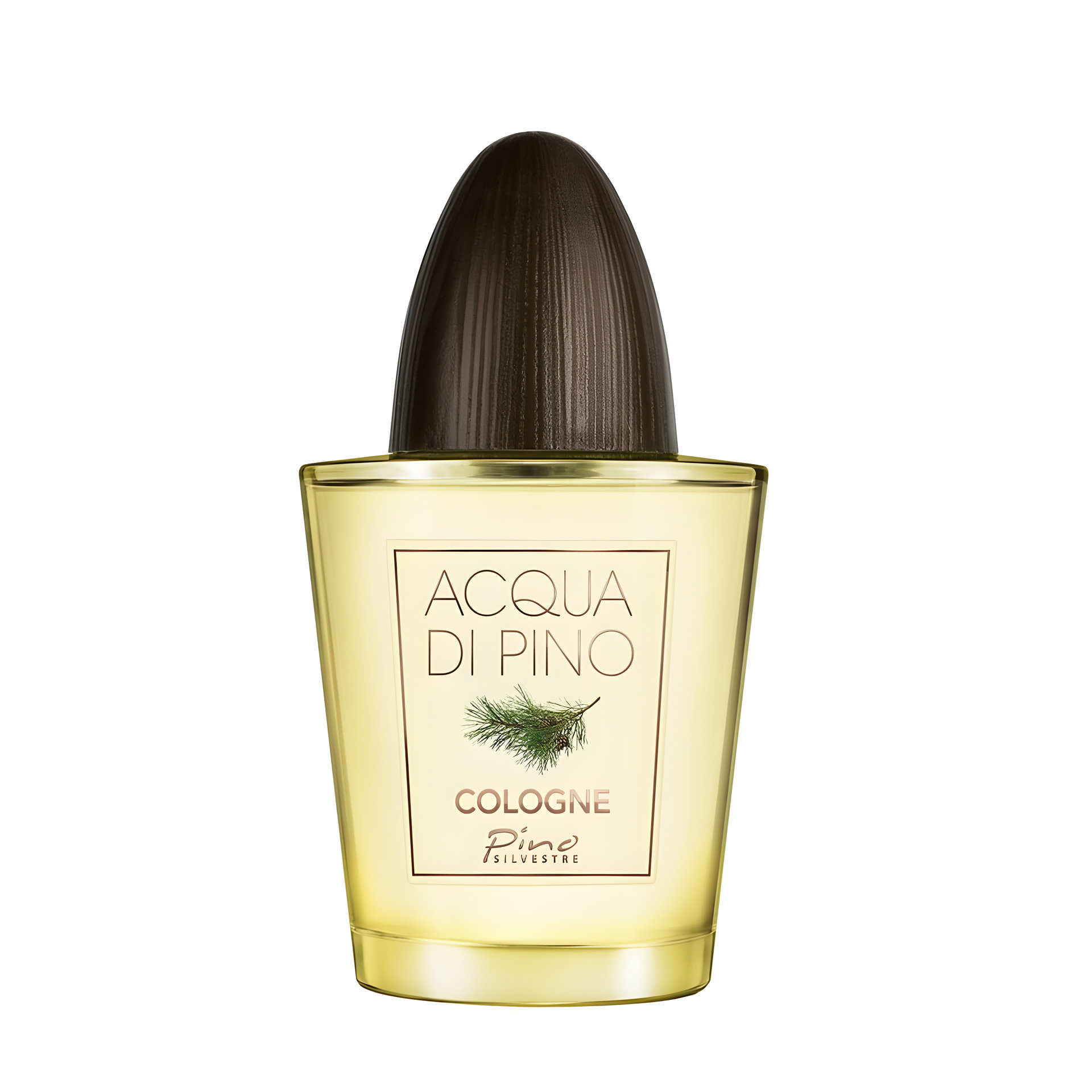 Picture of Acqua Di Pino Cologne fragrance
