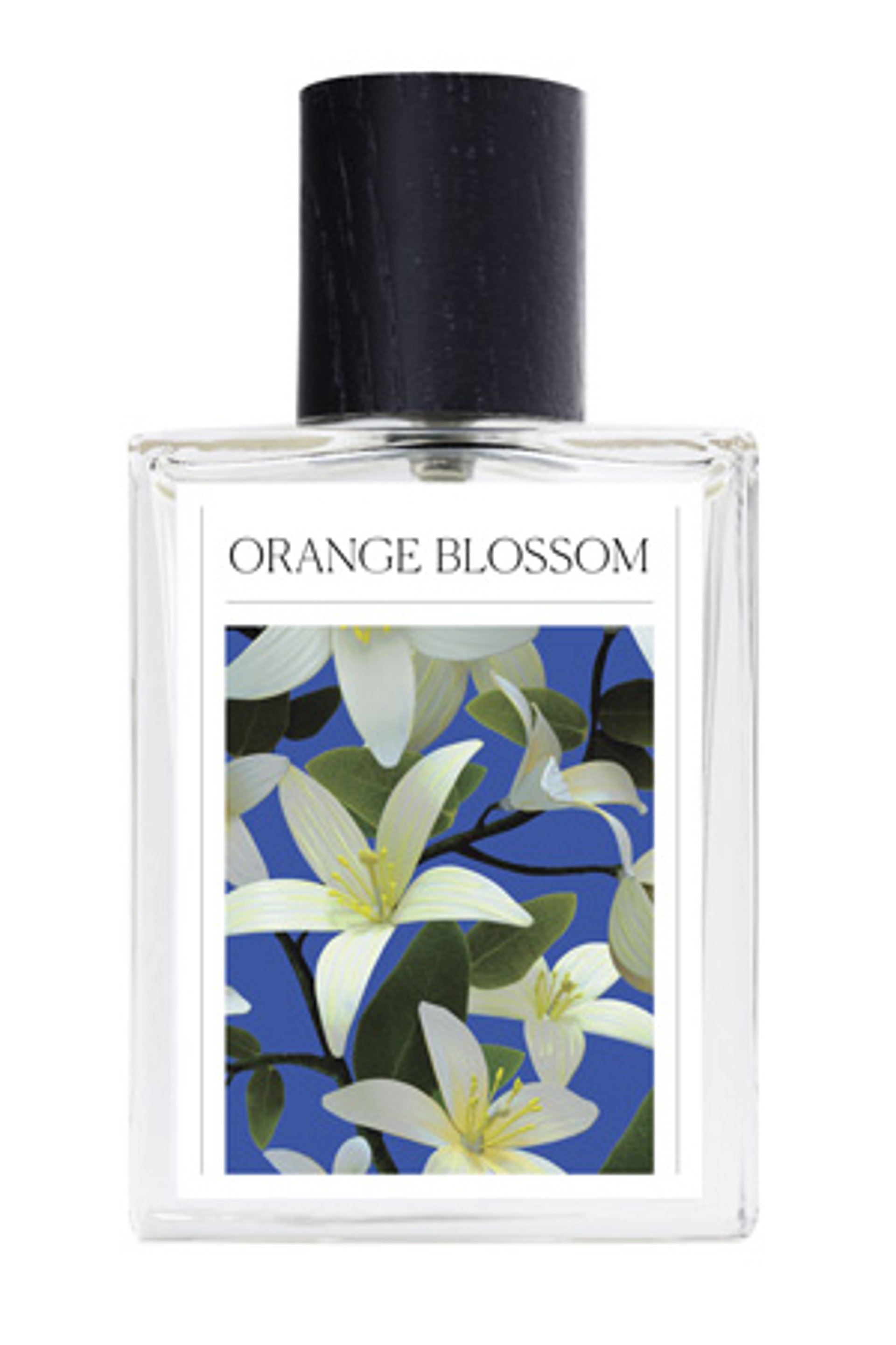 Picture of Orange Blossom fragrance