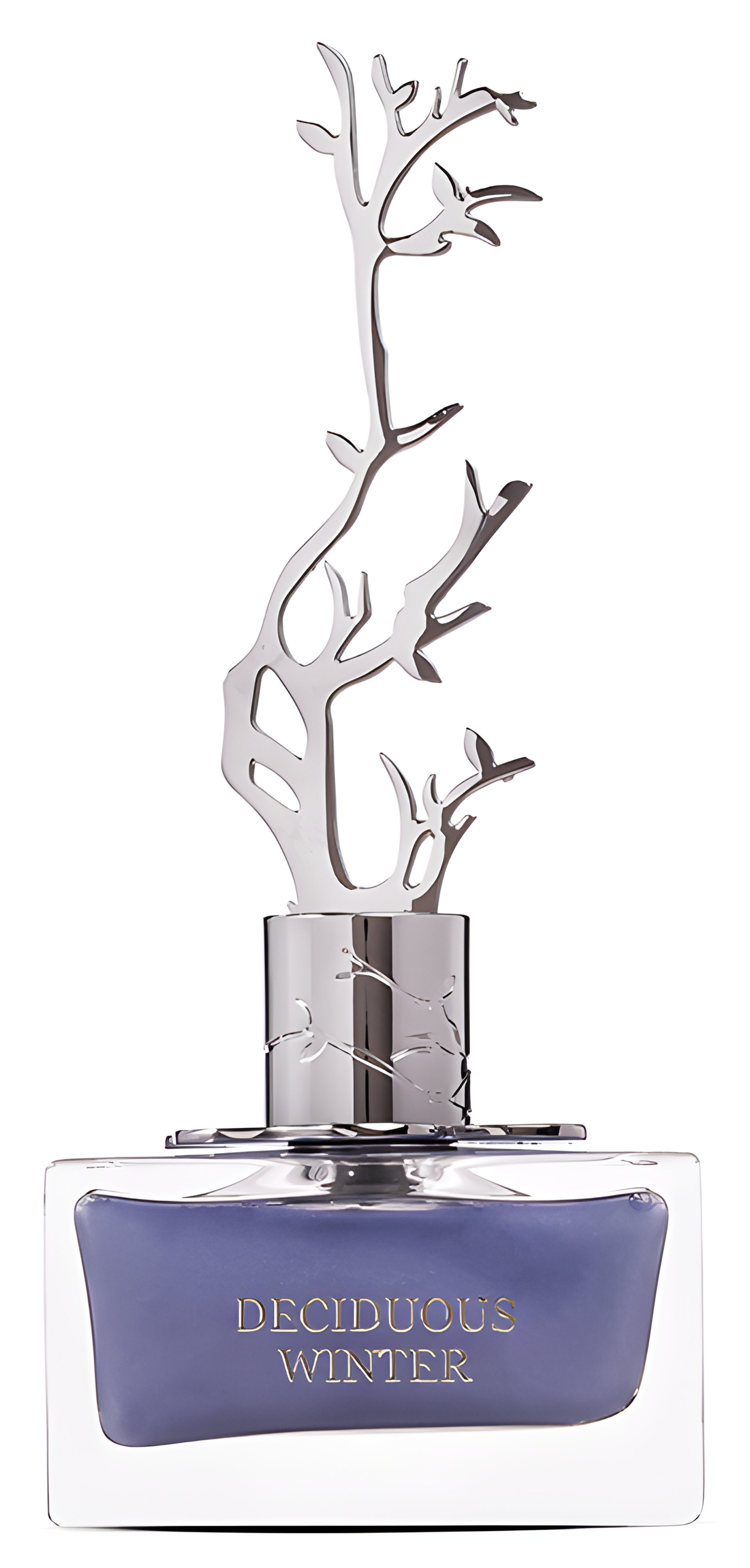 Picture of Deciduous Winter fragrance