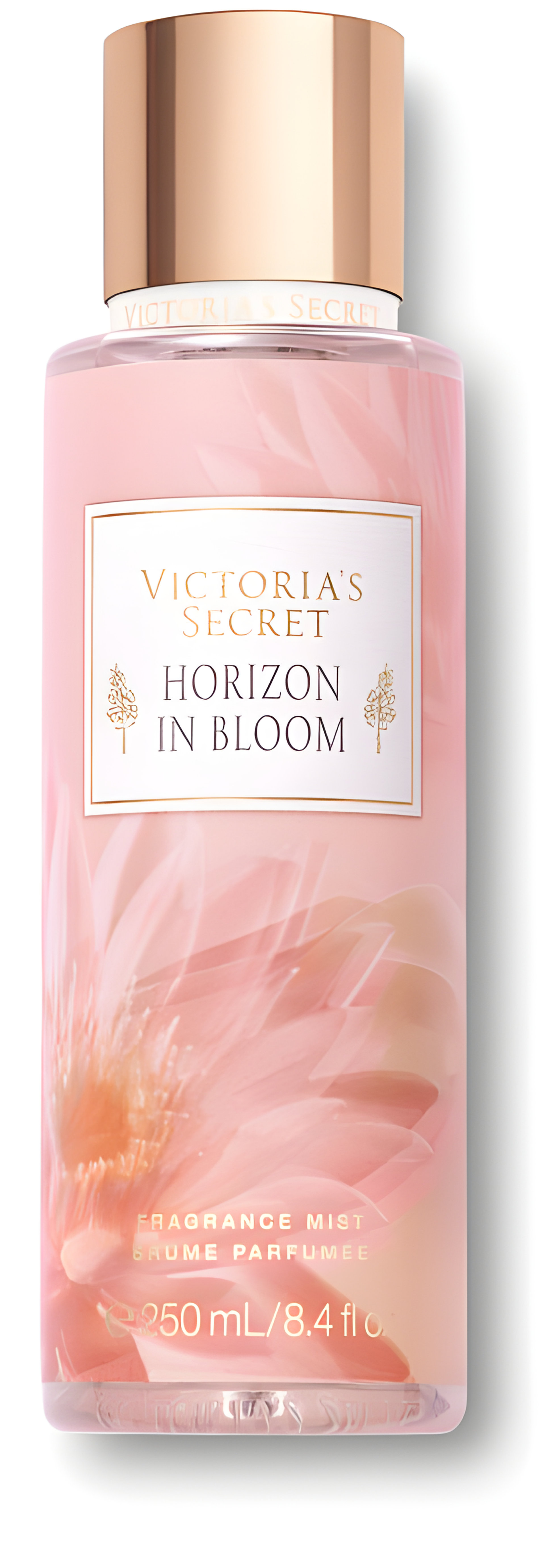 Picture of Horizon in Bloom fragrance