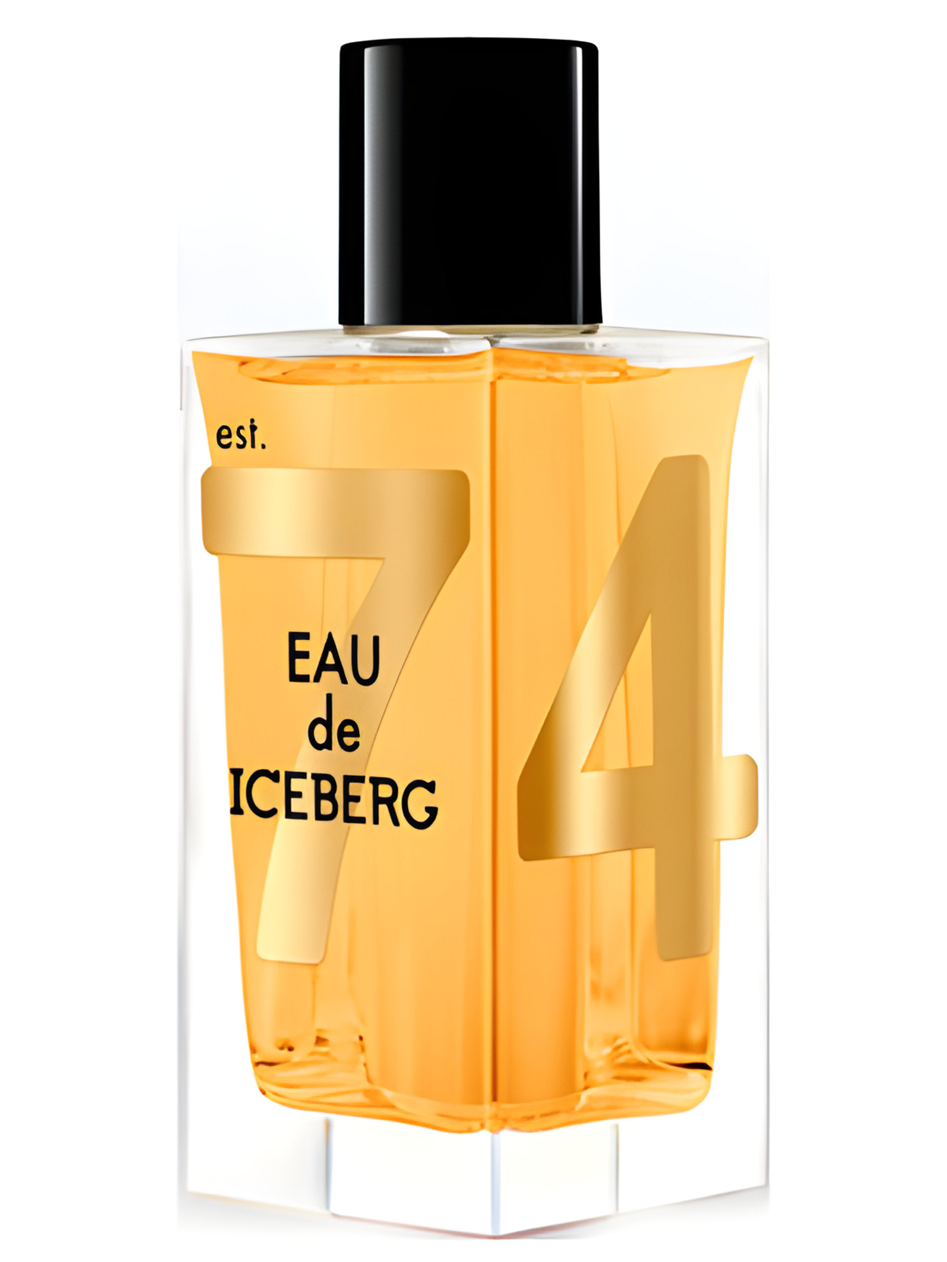 Picture of Eau de Iceberg Oud fragrance