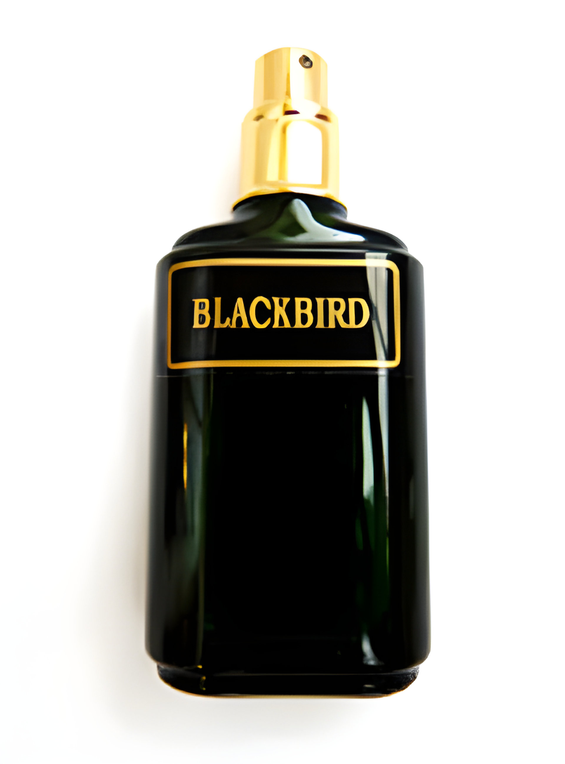 Picture of Blackbird fragrance